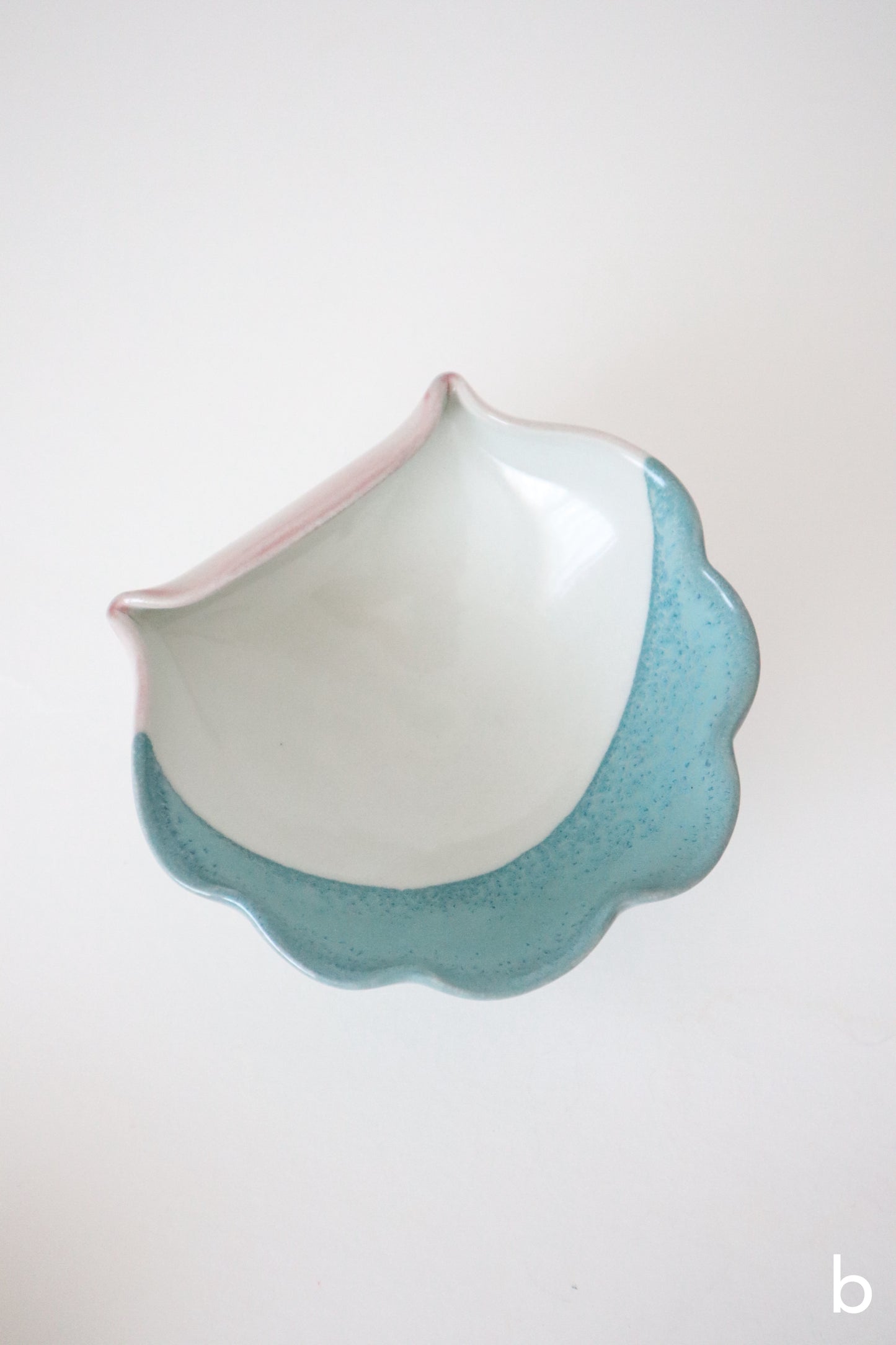 seashell rests in deep blue