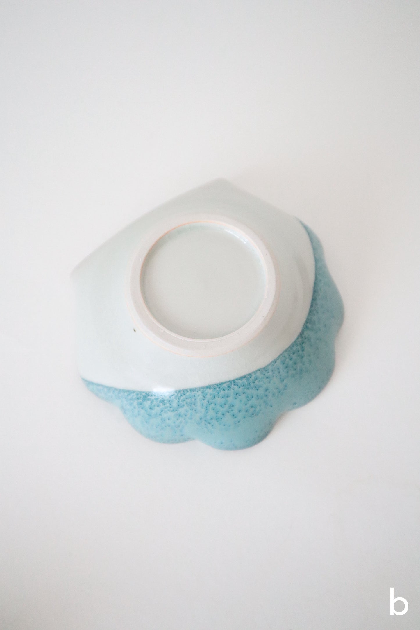 seashell rests in deep blue