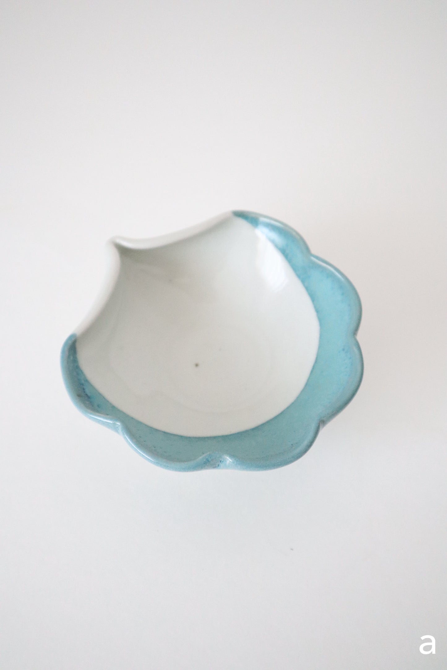seashell rests in deep blue