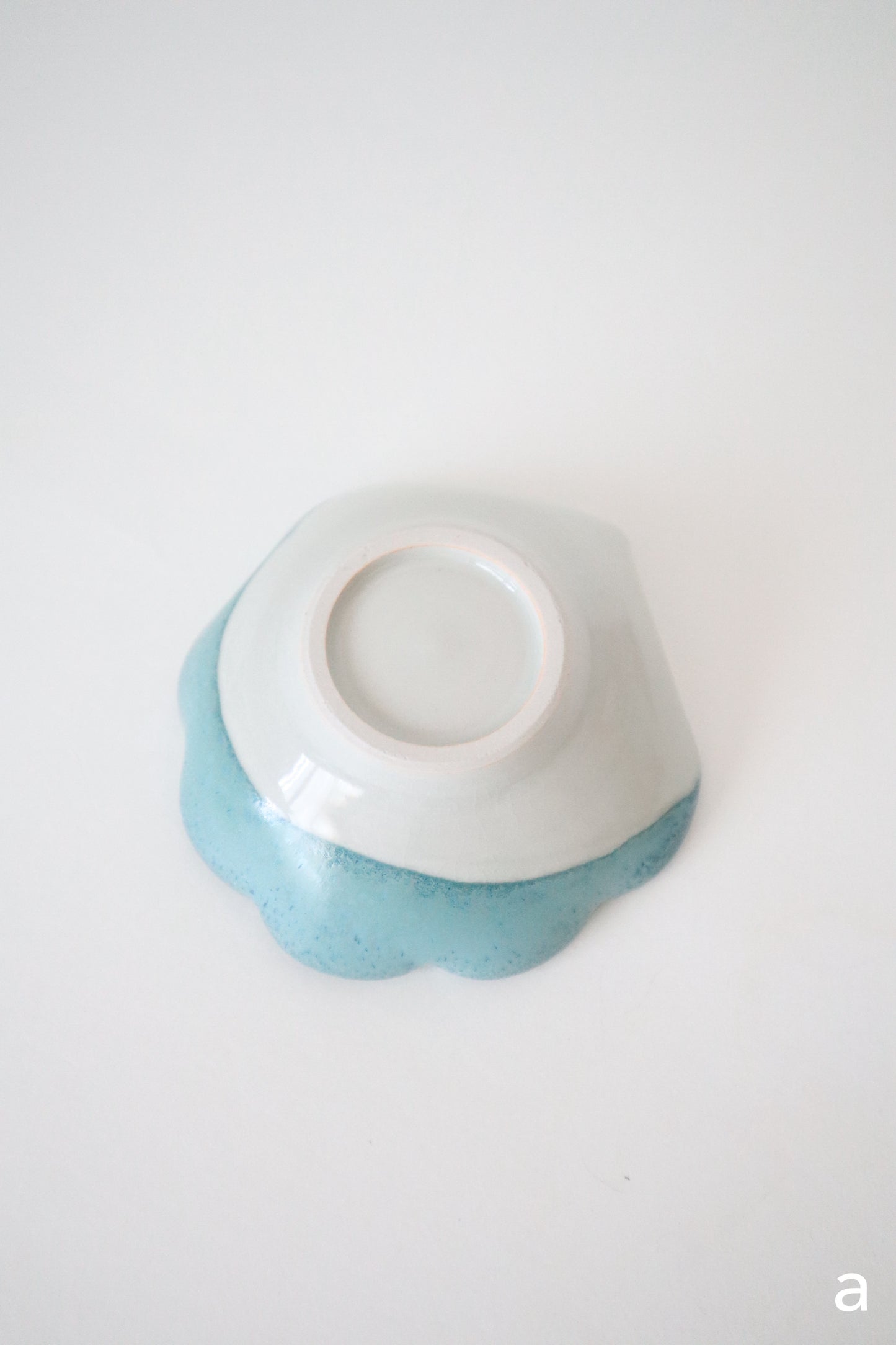 seashell rests in deep blue