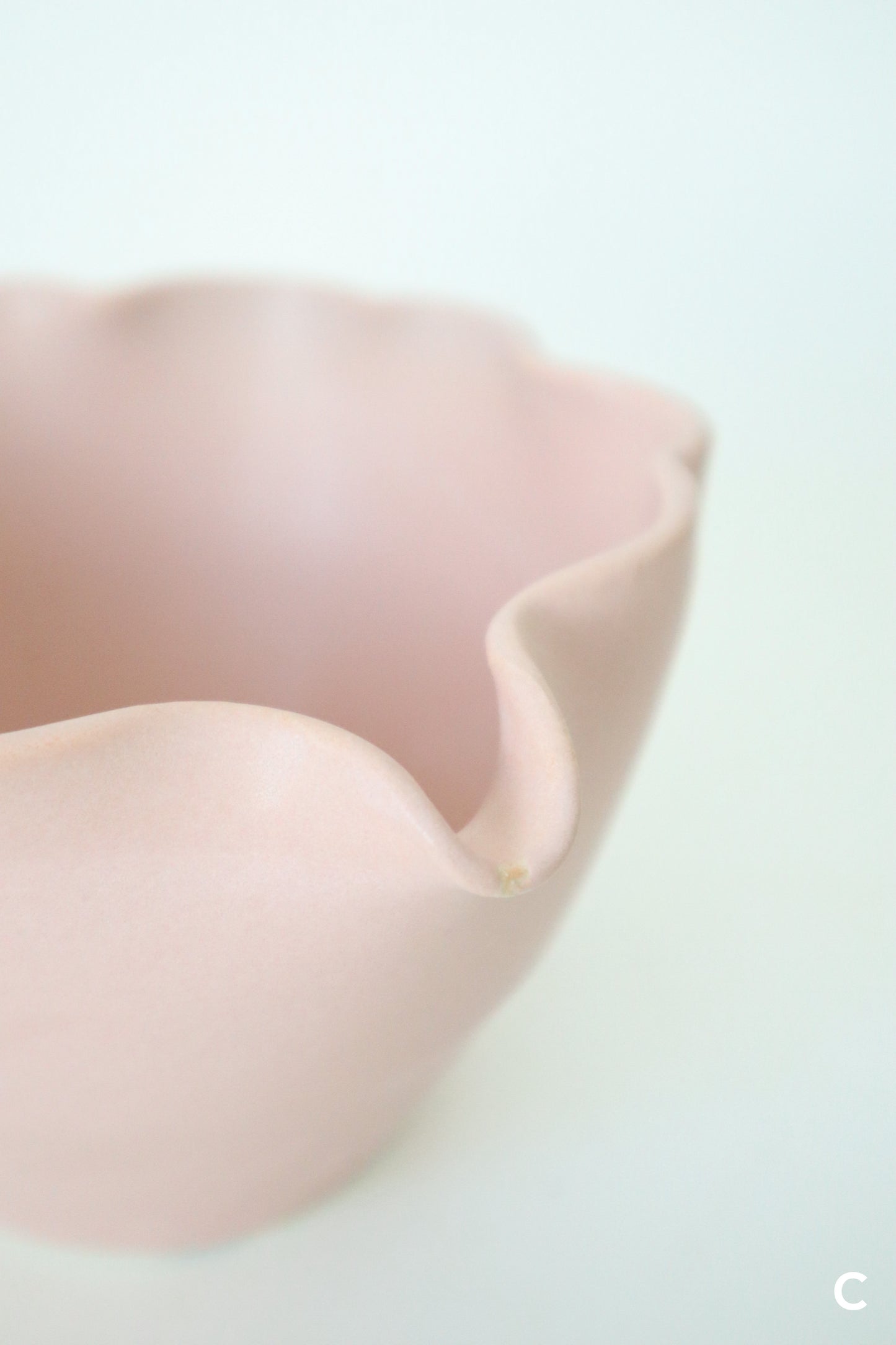 sakura bloom matcha sets