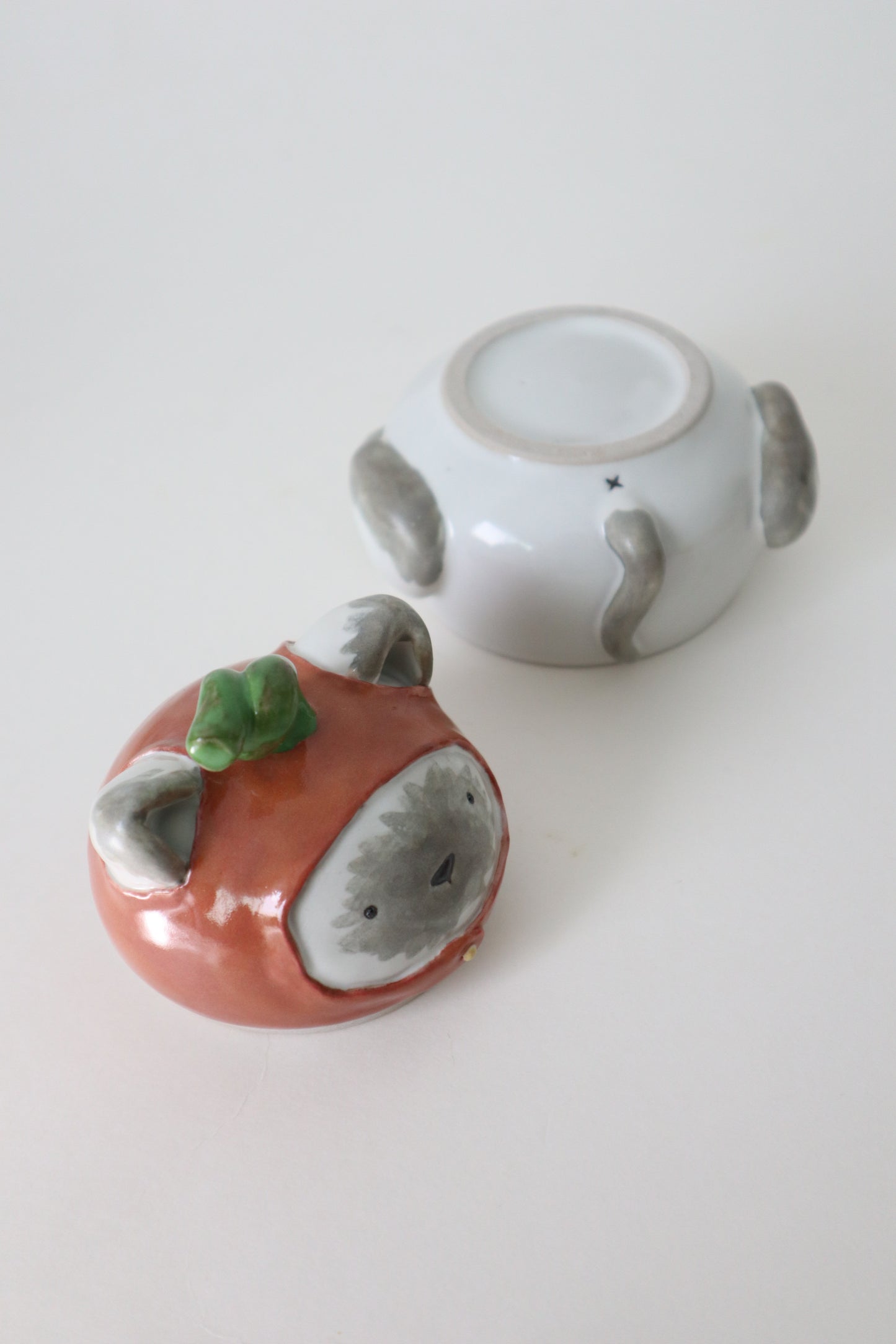 Chai the pumpkin siamese