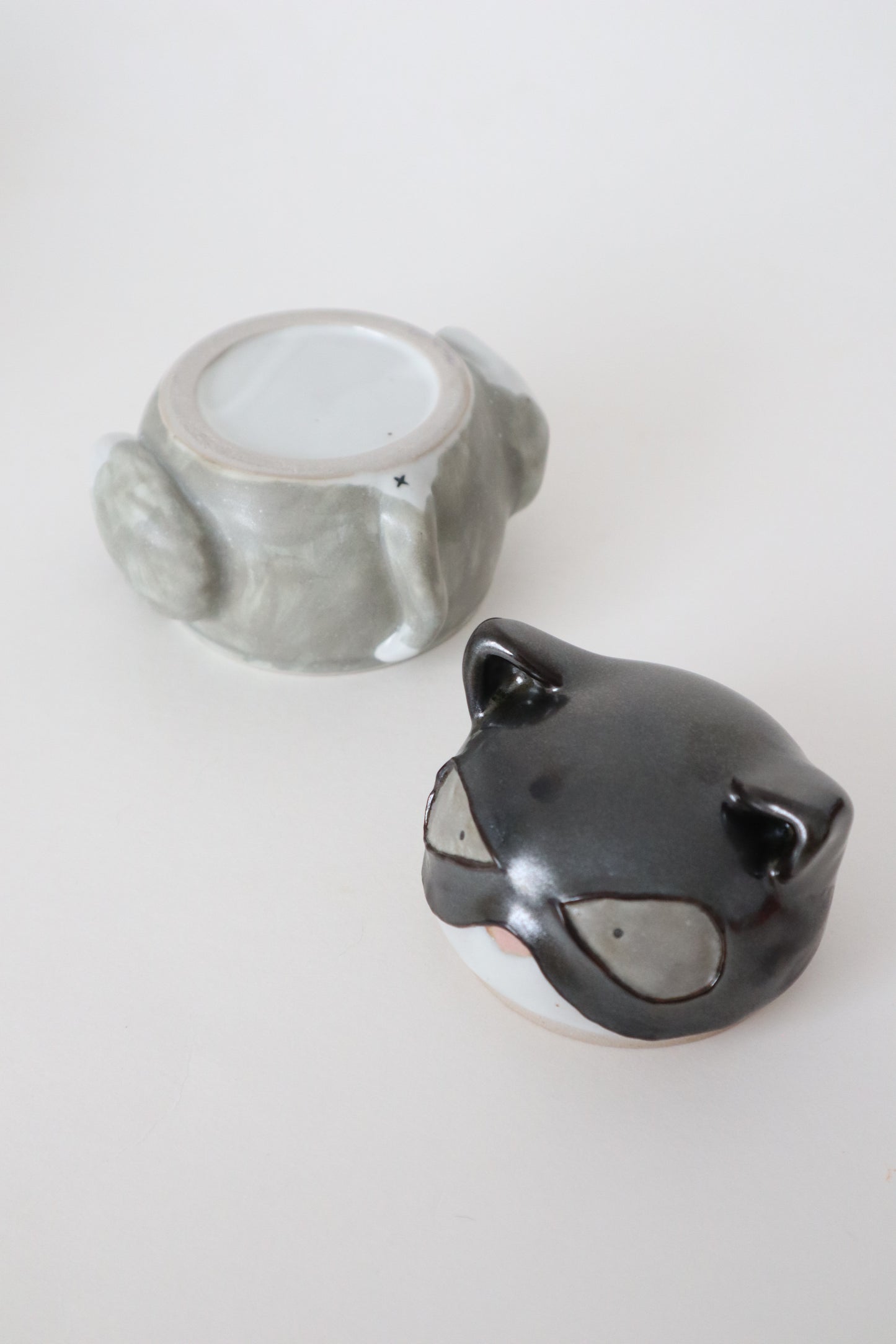 Zoey the cat woman kitty