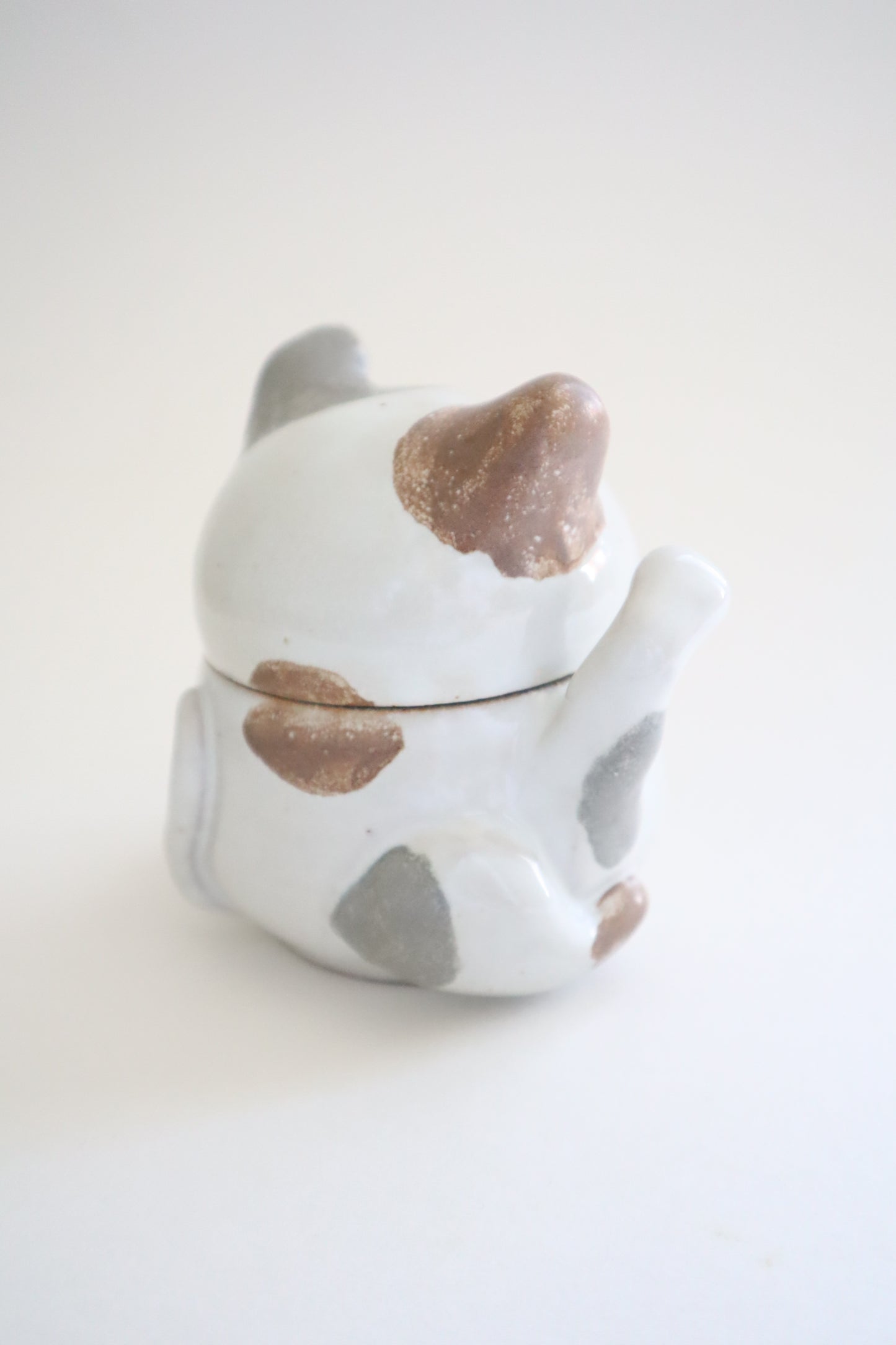 Meowy the cat jar