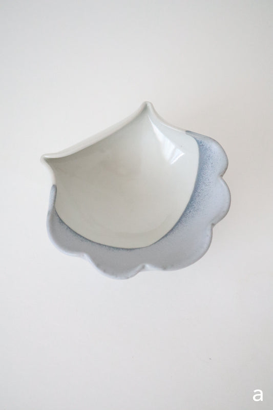 seashell rests in oyster