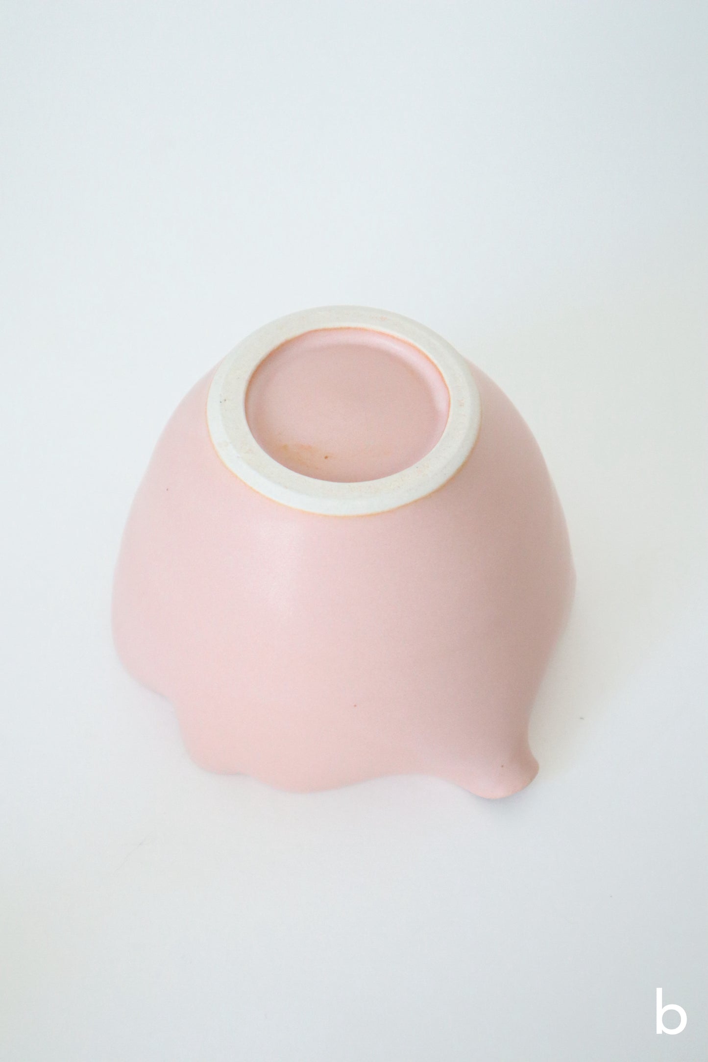 sakura bloom matcha sets