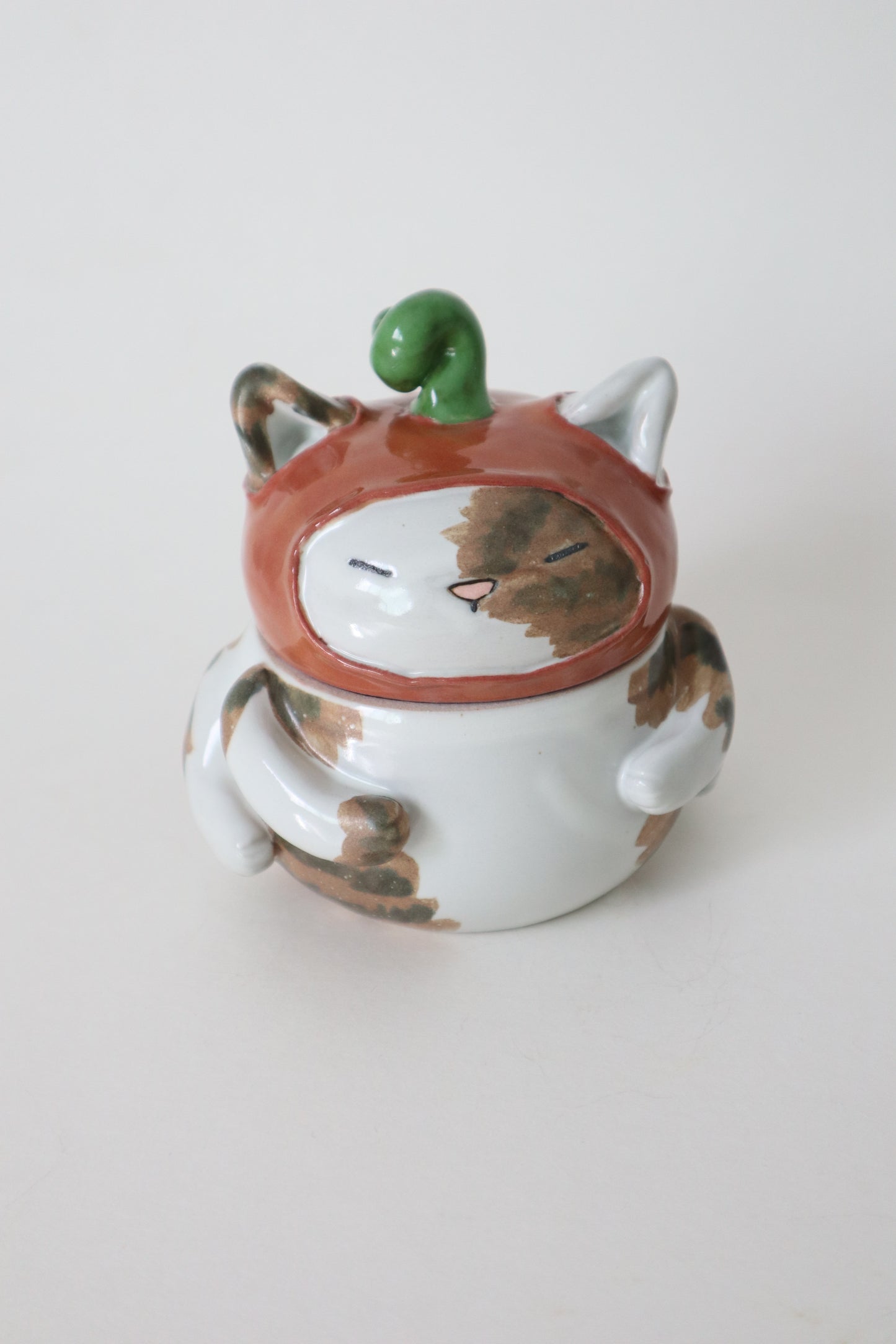 William the pumpkin taby