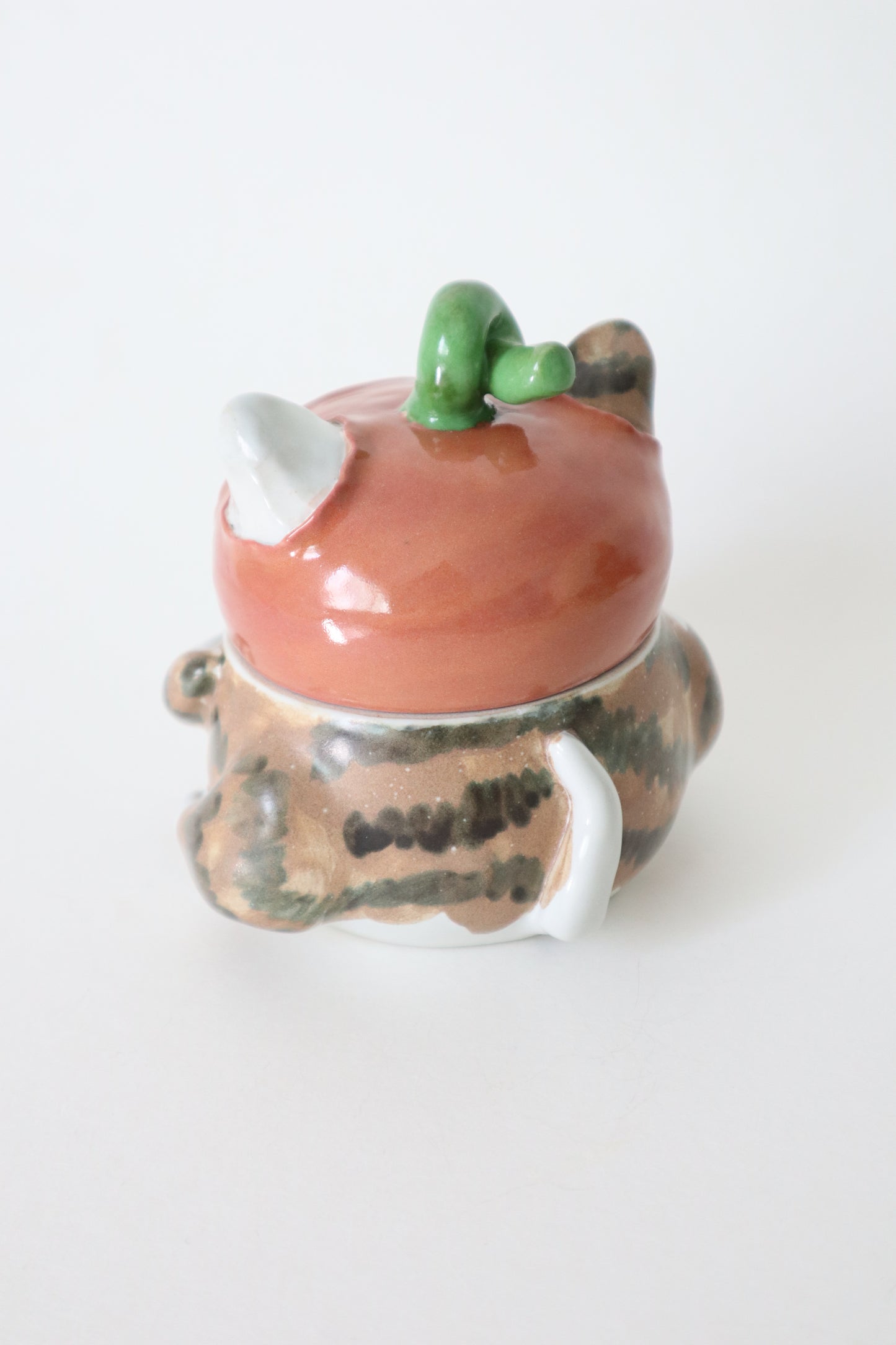 William the pumpkin taby