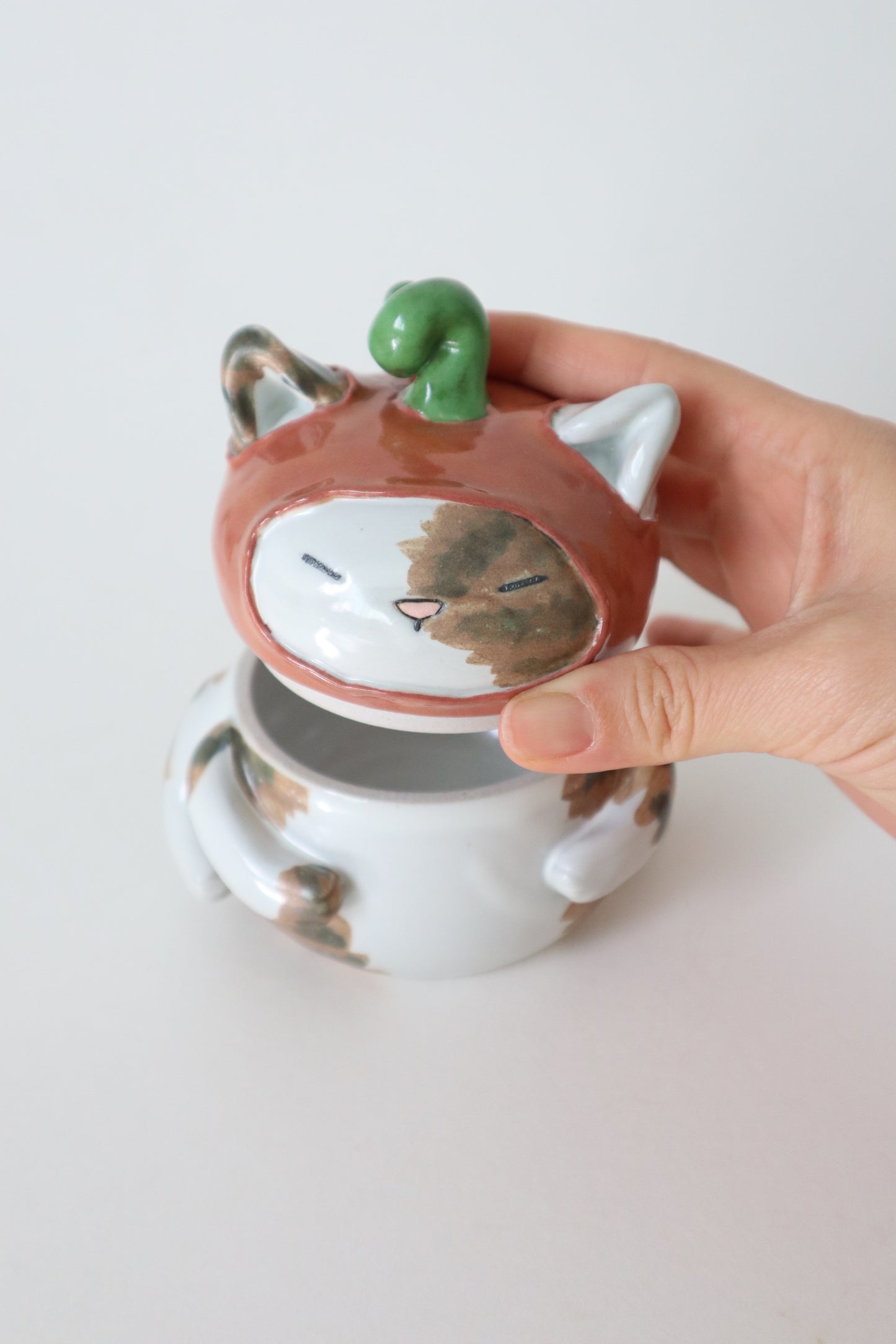 William the pumpkin taby