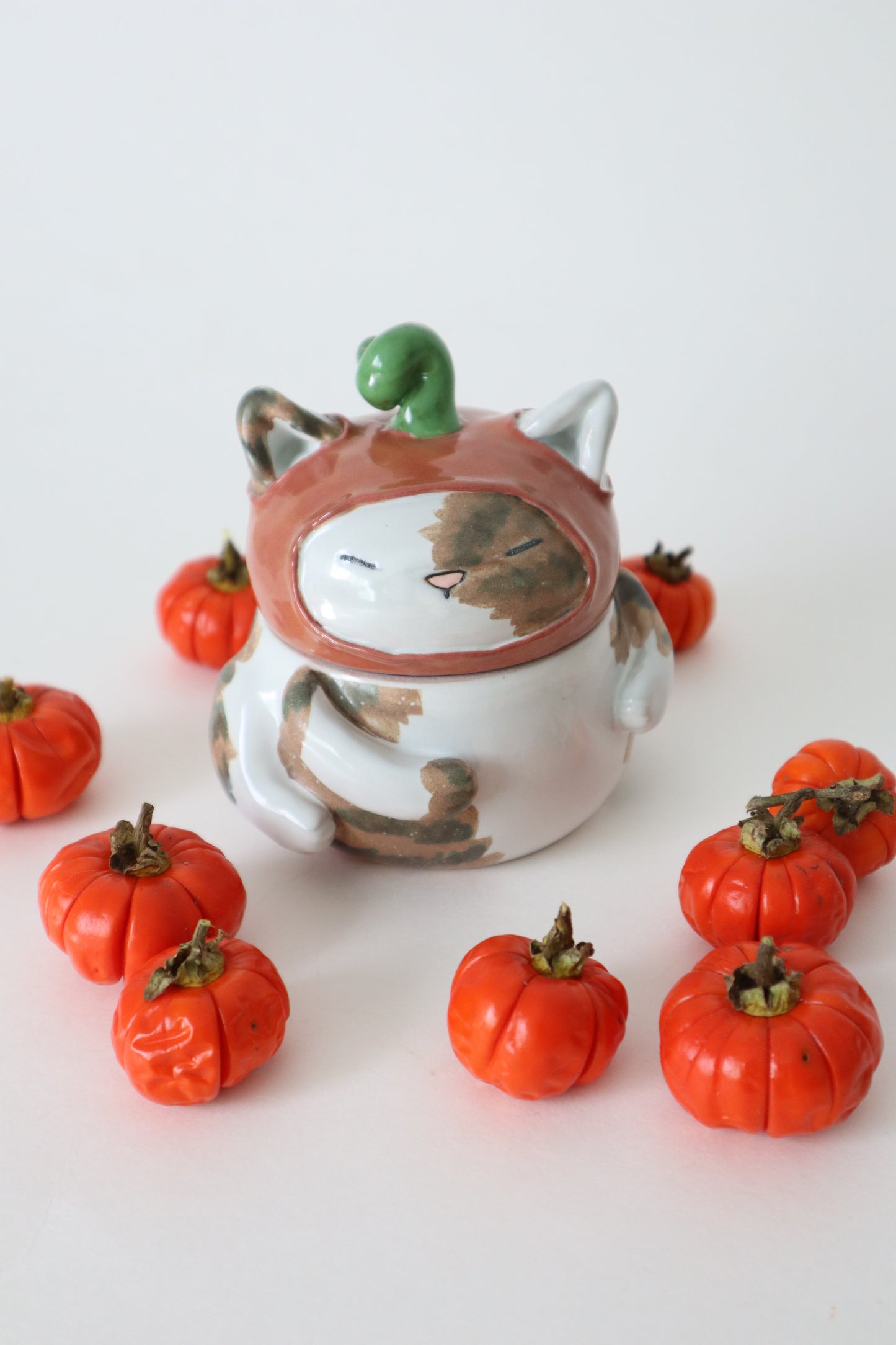 William the pumpkin taby