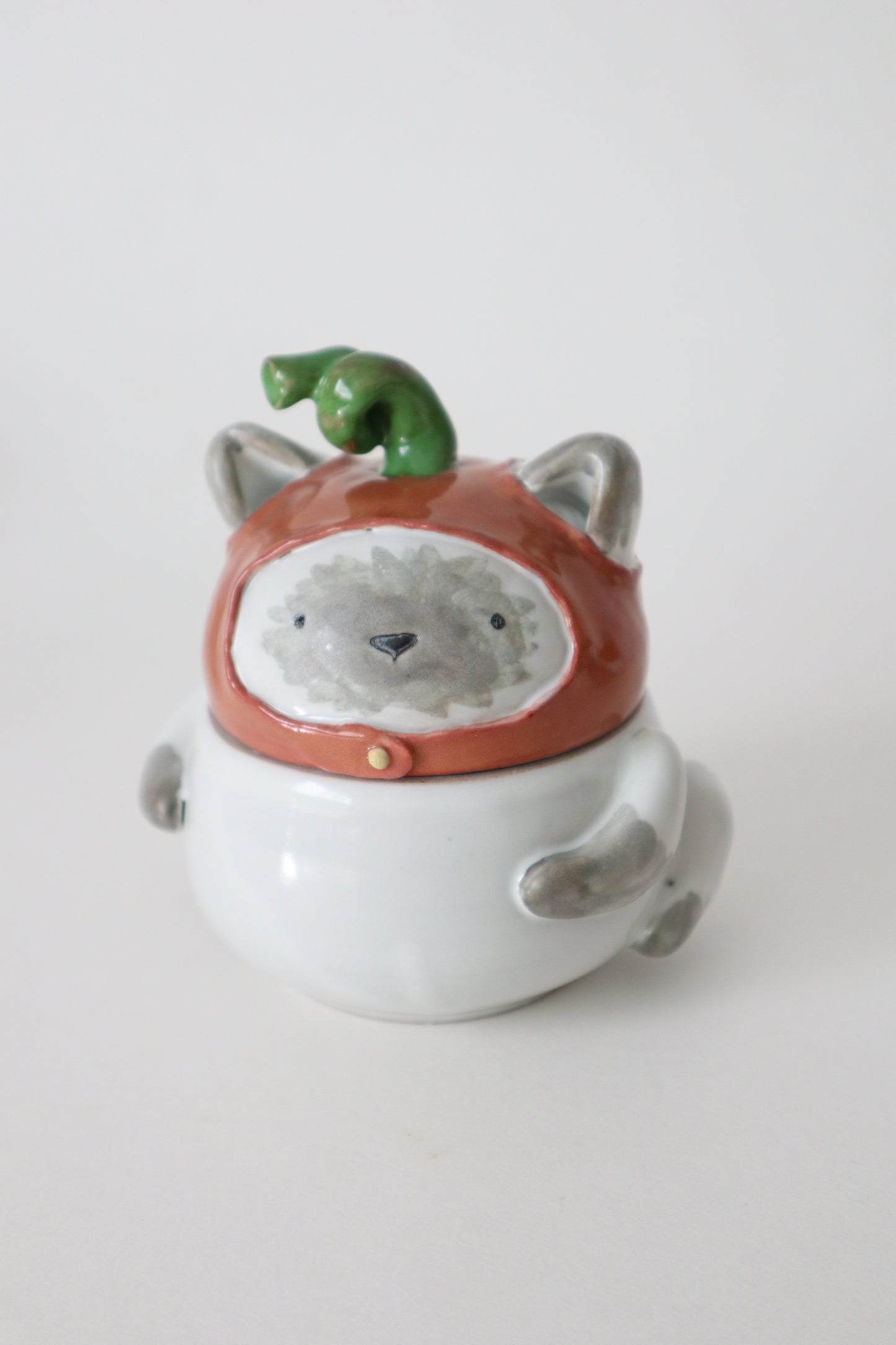 Chai the pumpkin siamese