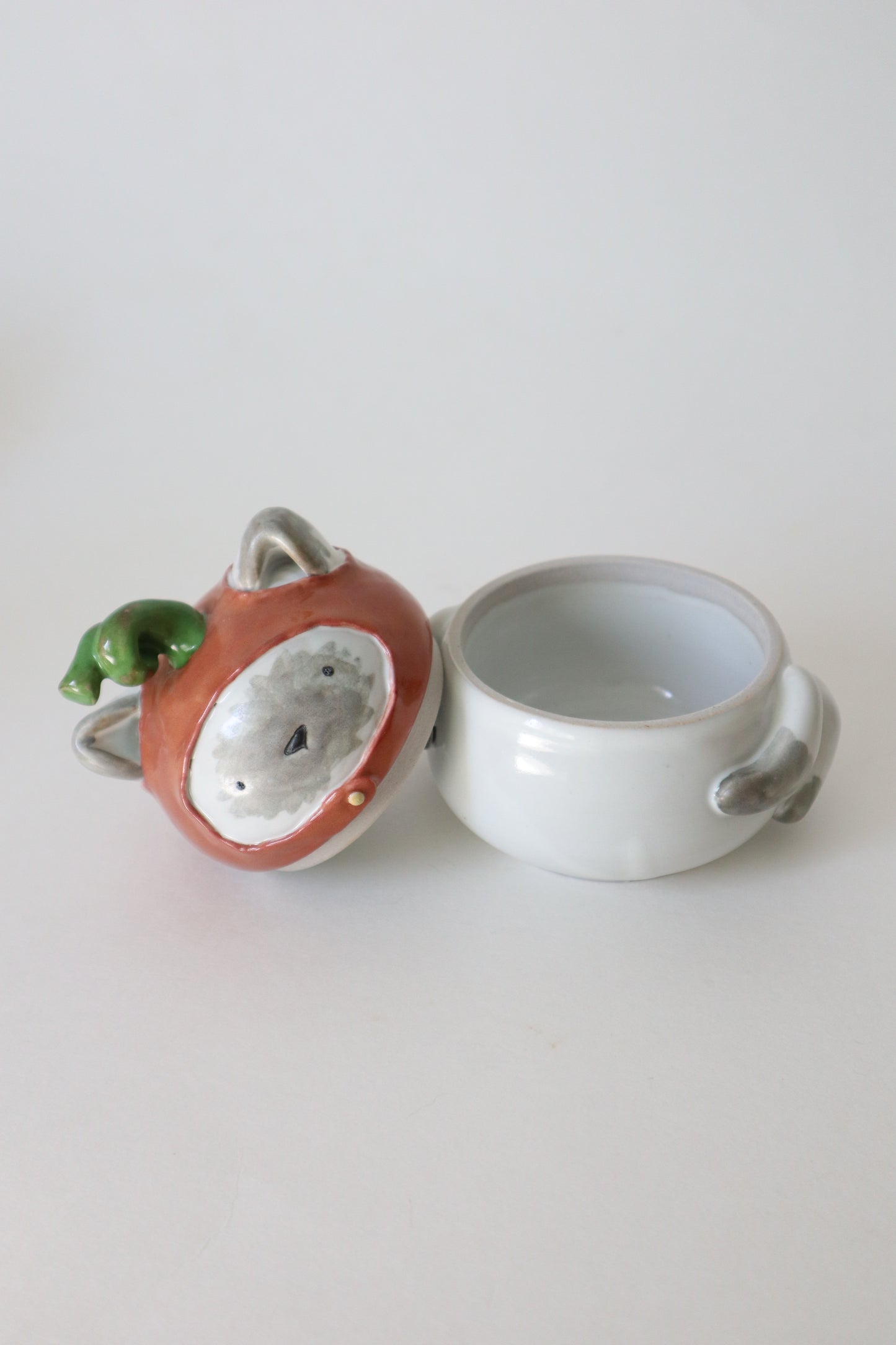 Chai the pumpkin siamese