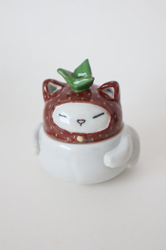 Snow the strawberry kitty