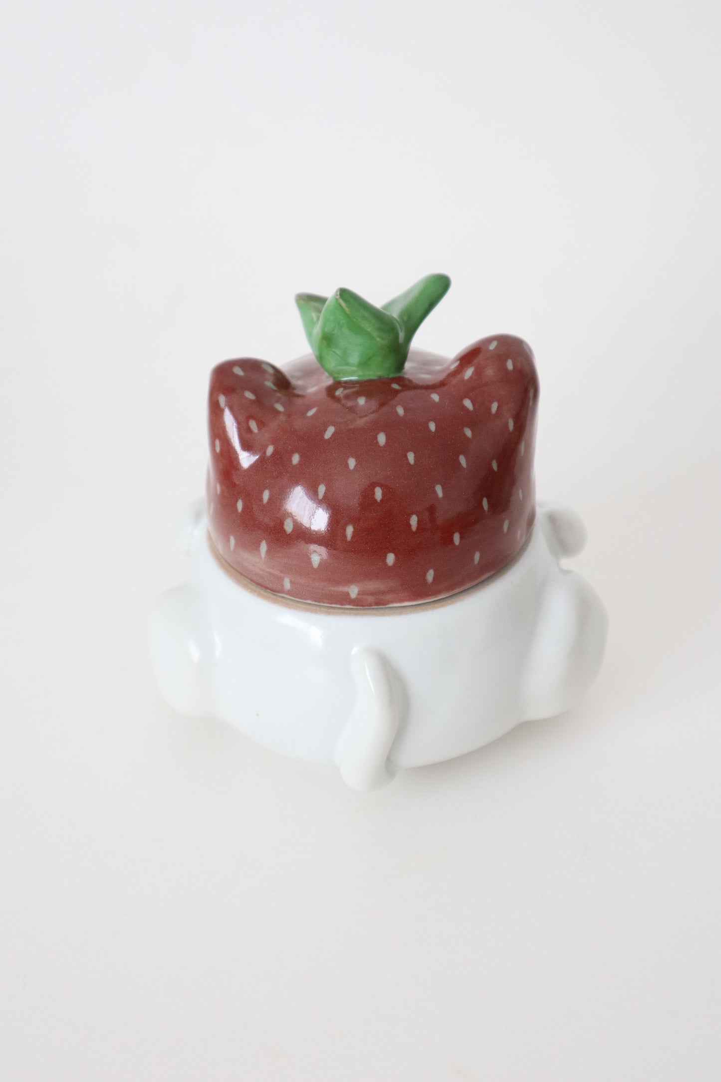 Snow the strawberry kitty