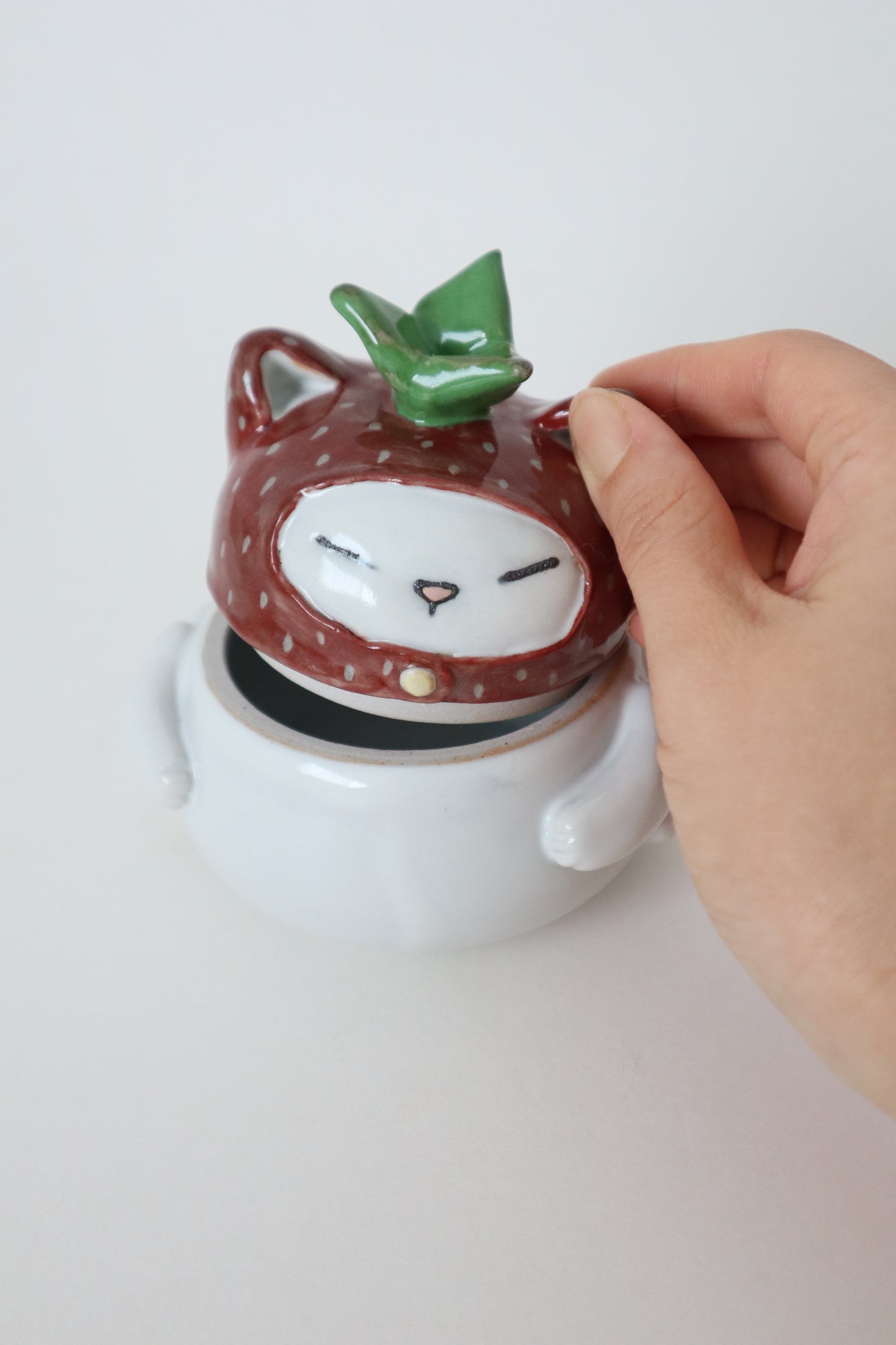 Snow the strawberry kitty