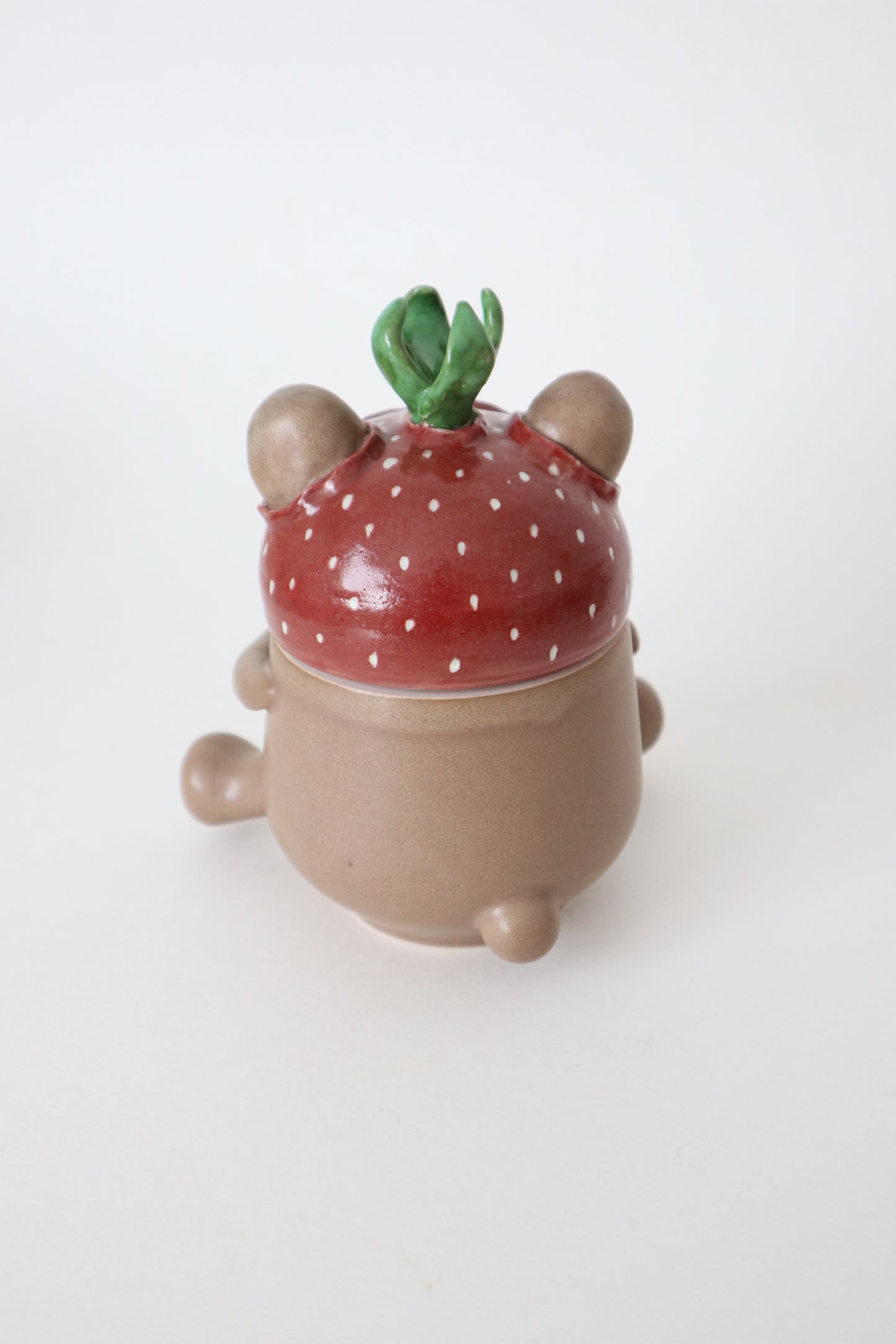 Barry the strawberry teddy bear
