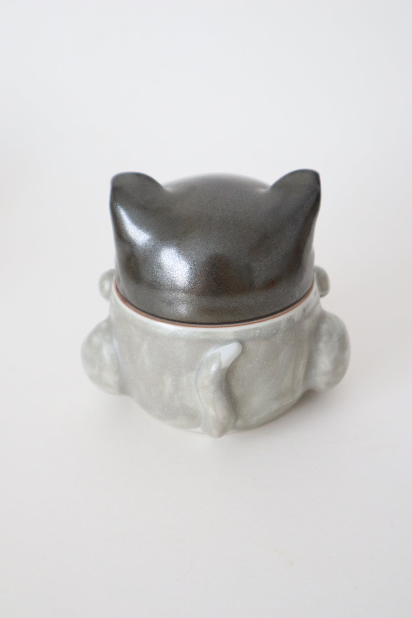 Zoey the cat woman kitty