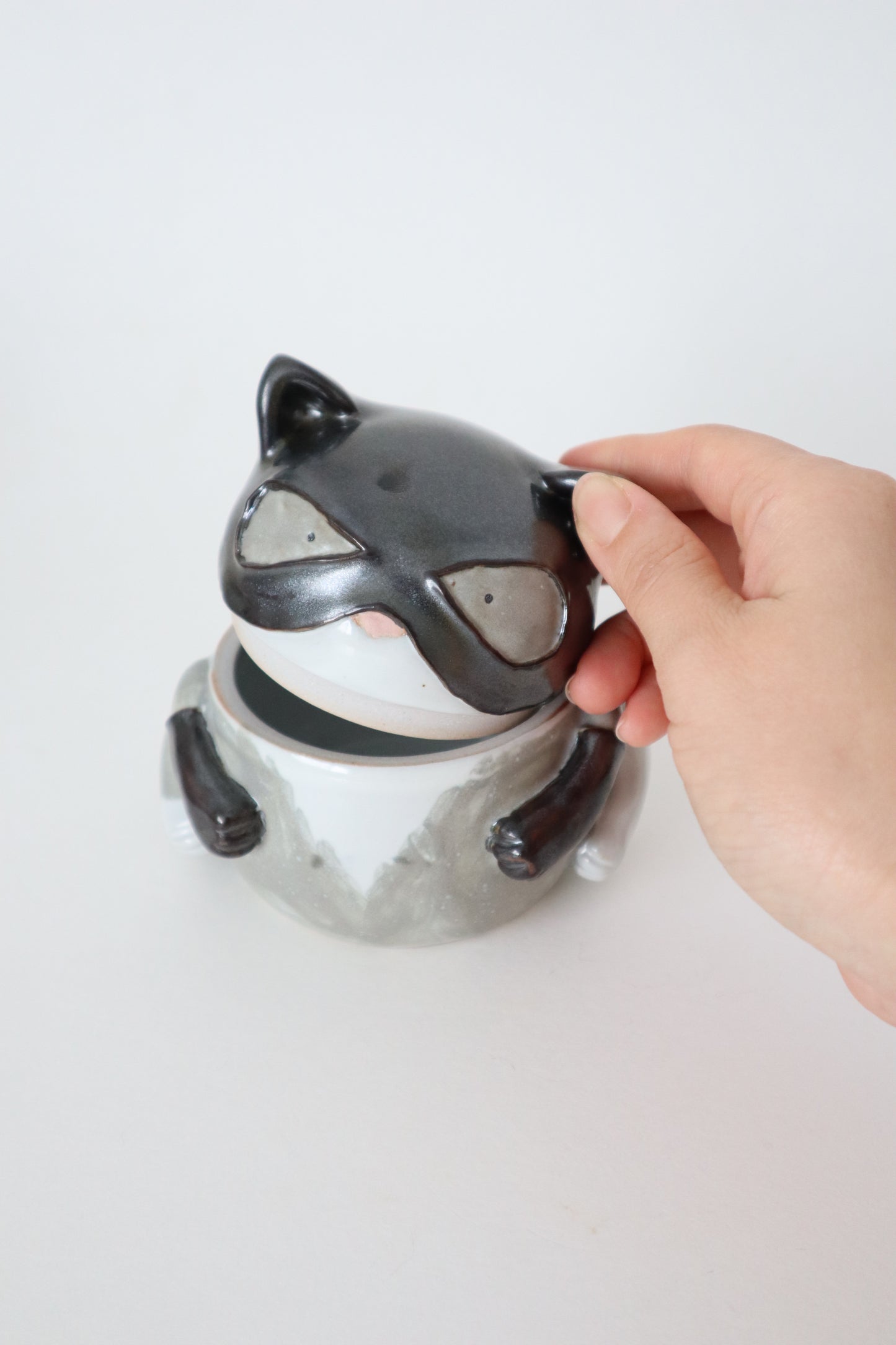 Zoey the cat woman kitty