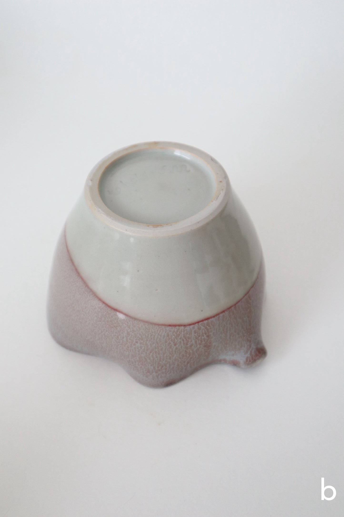 sea moss seashell matcha bowls