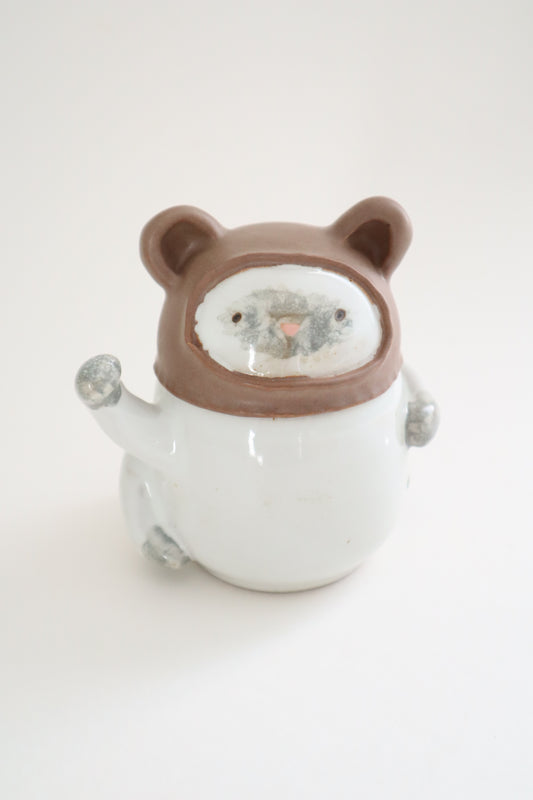 Tedi the siamese cat jar