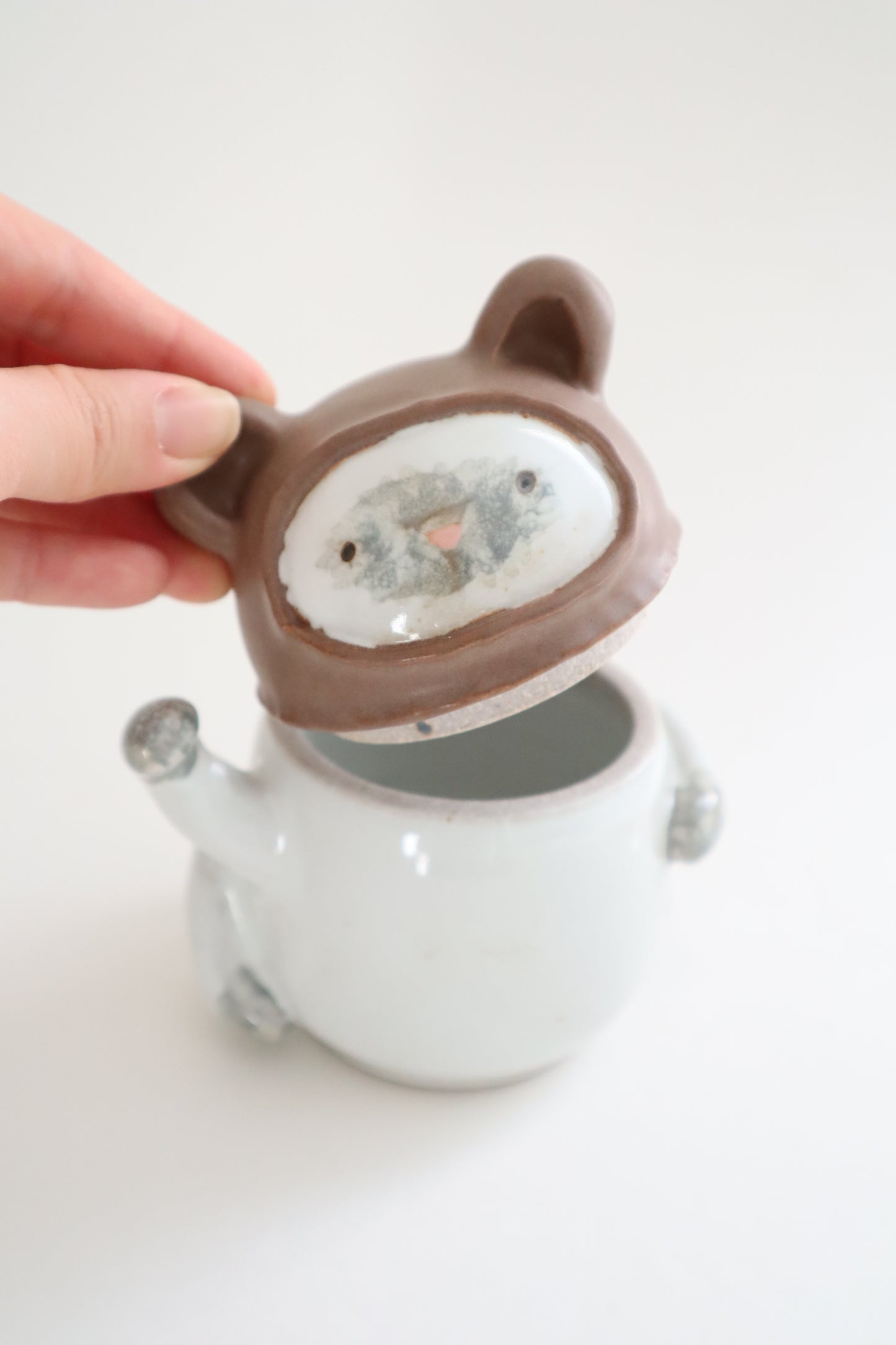 Tedi the siamese cat jar