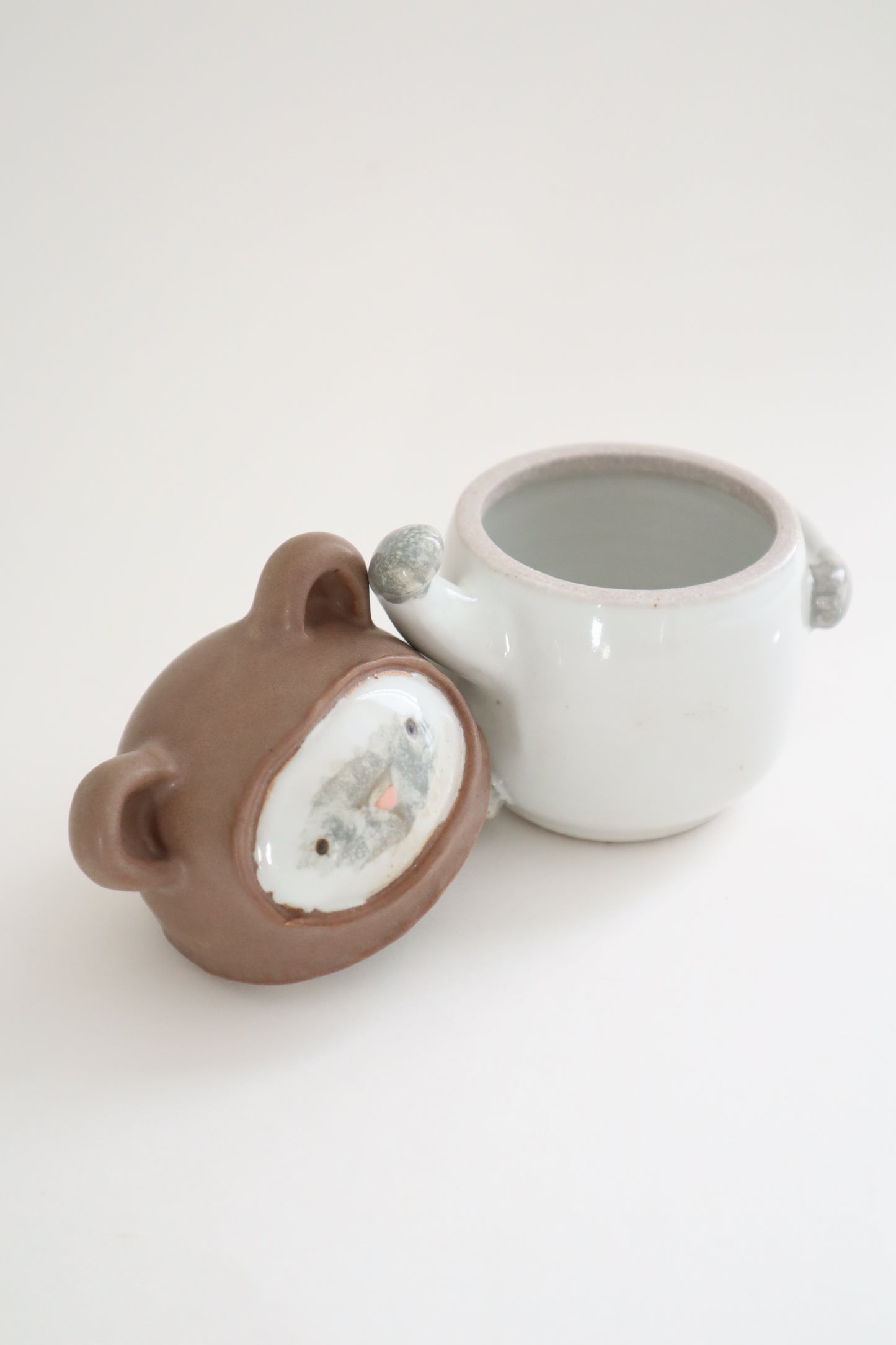 Tedi the siamese cat jar