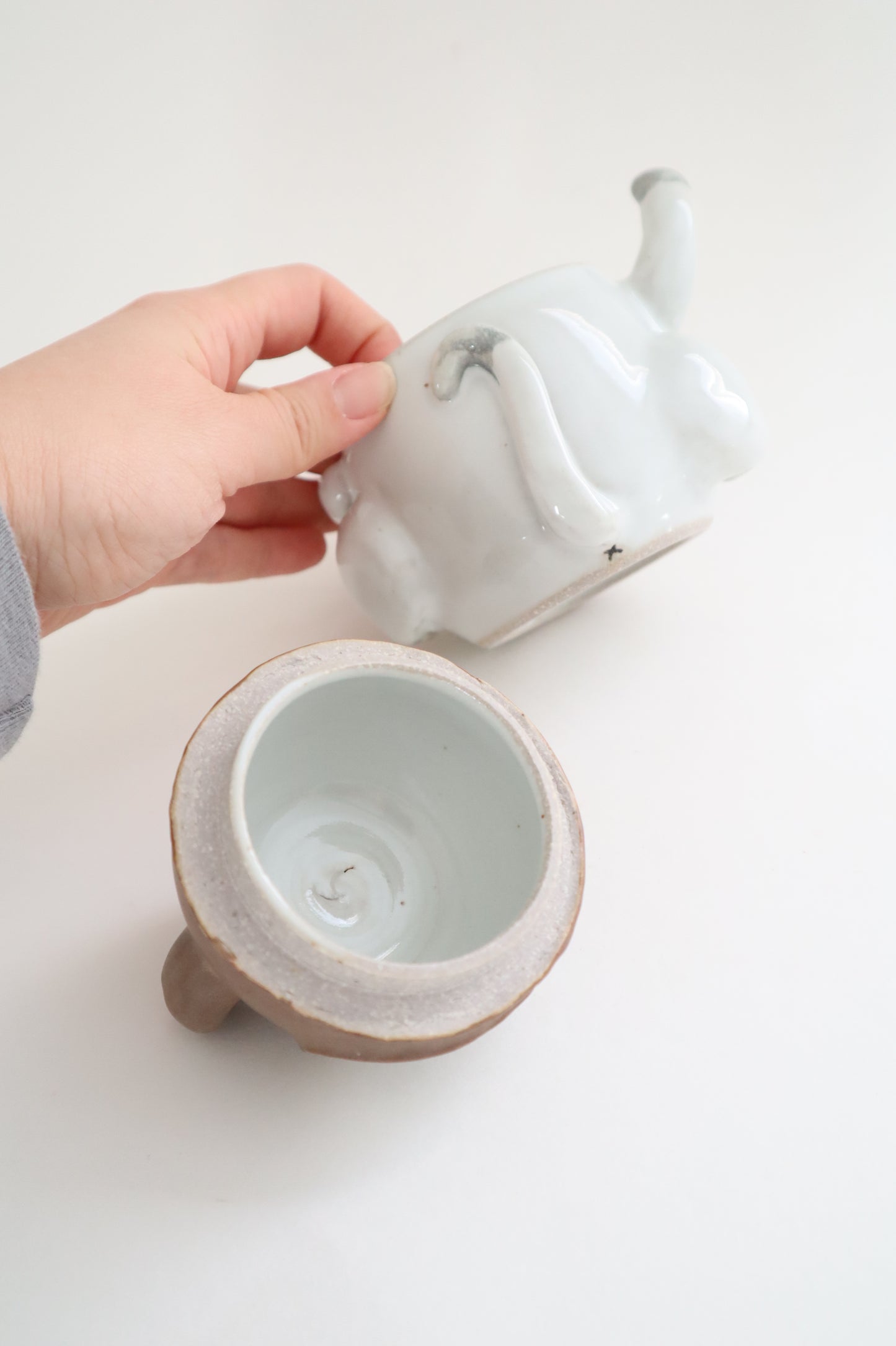 Tedi the siamese cat jar