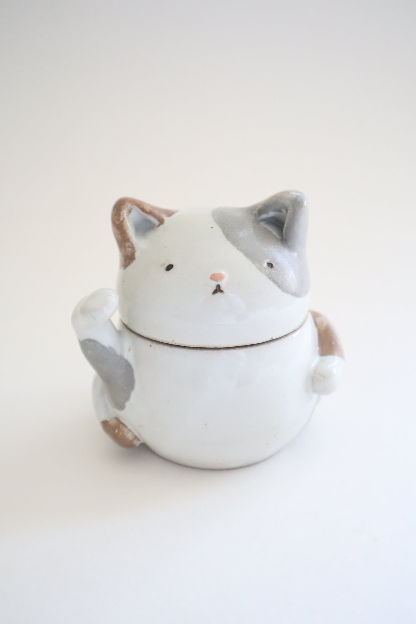 Meowy the cat jar