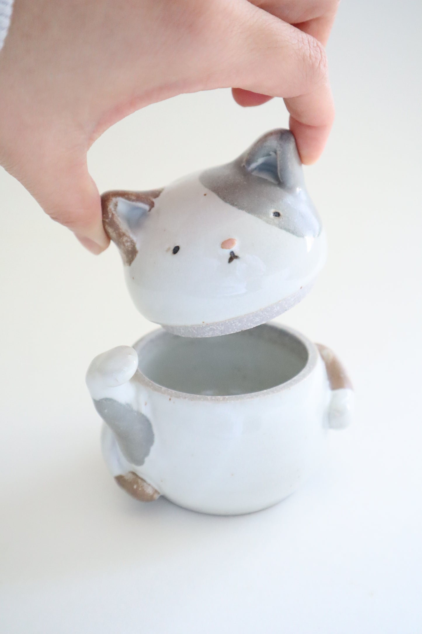 Meowy the cat jar