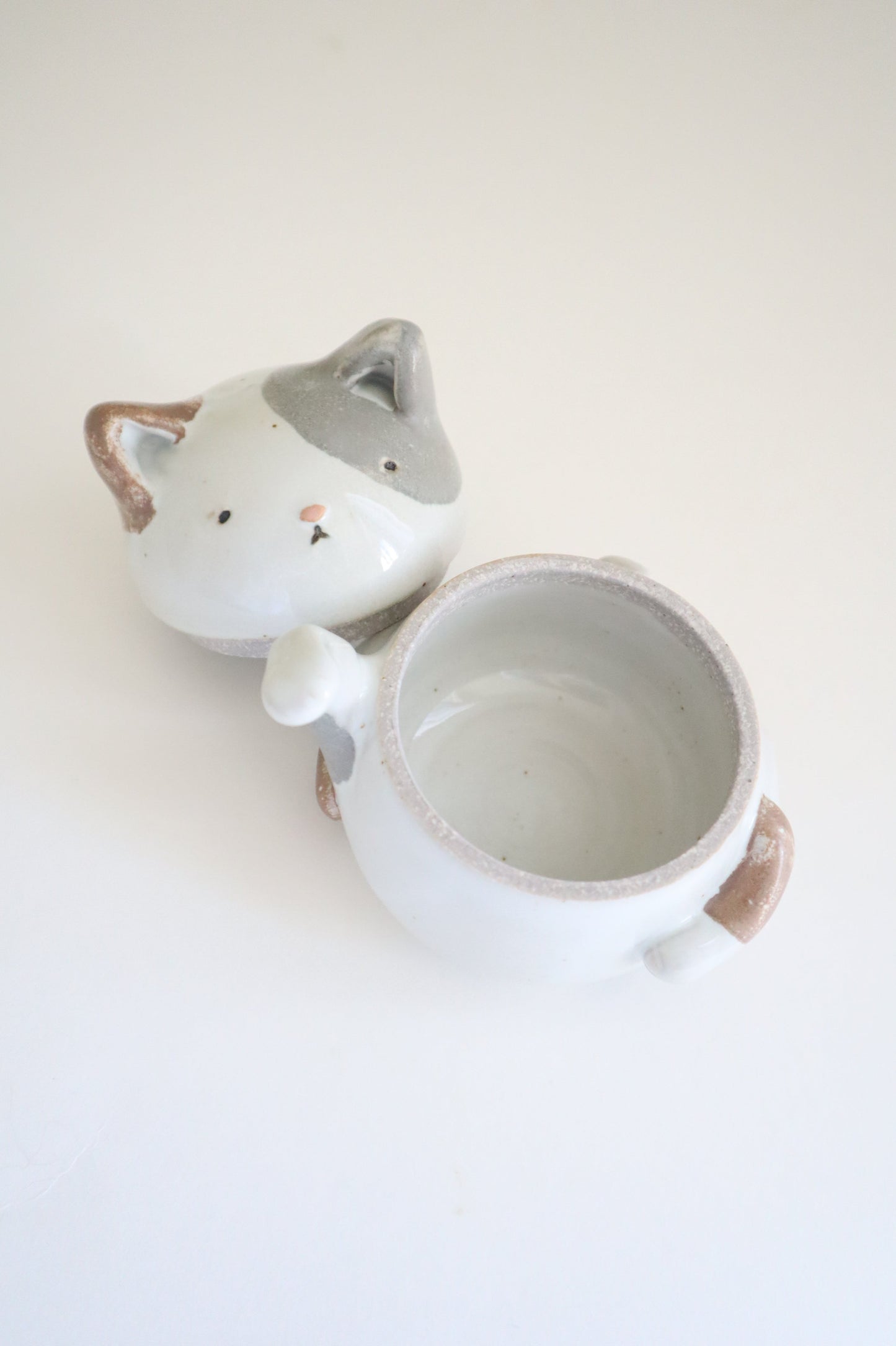 Meowy the cat jar