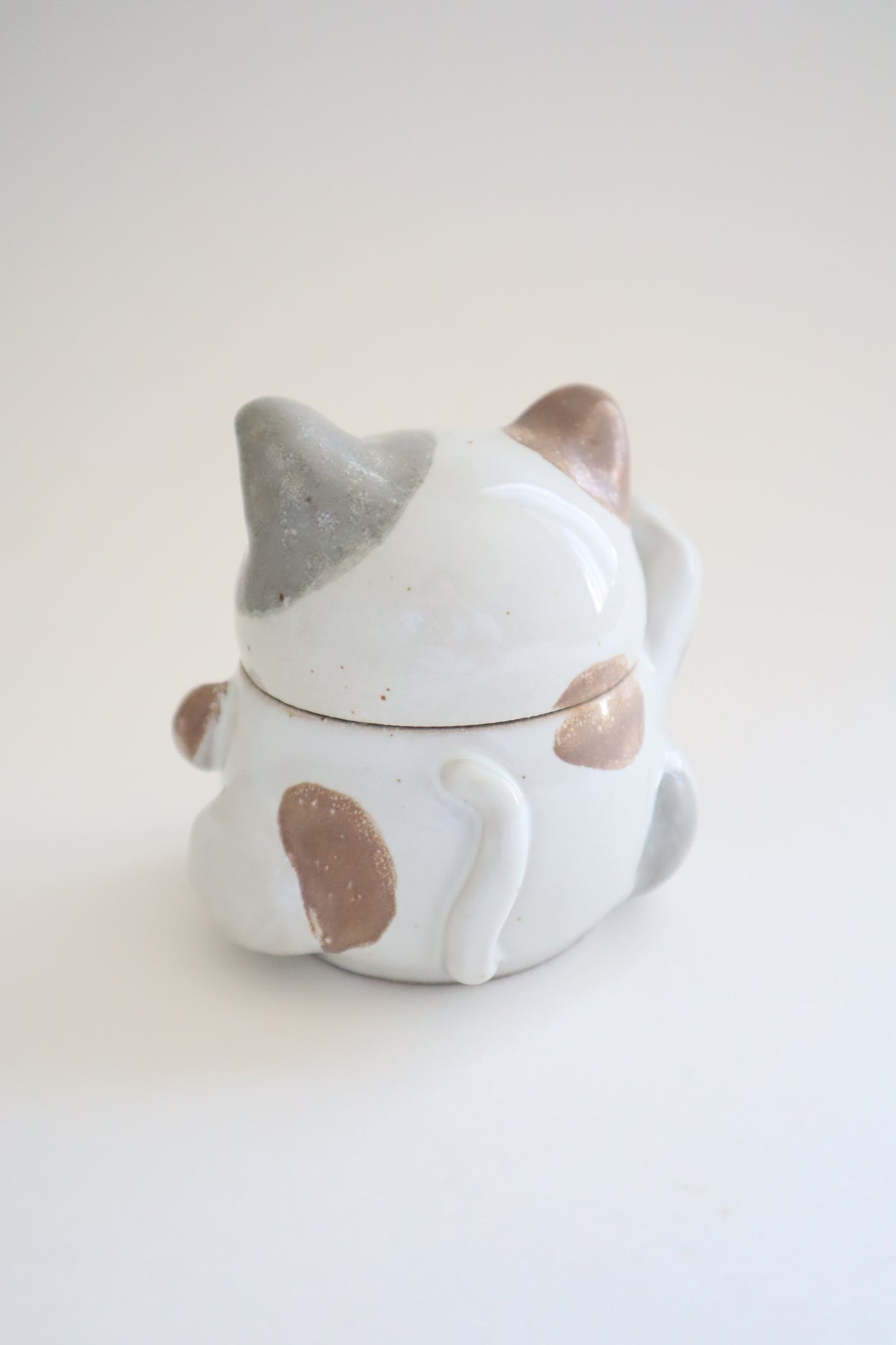 Meowy the cat jar