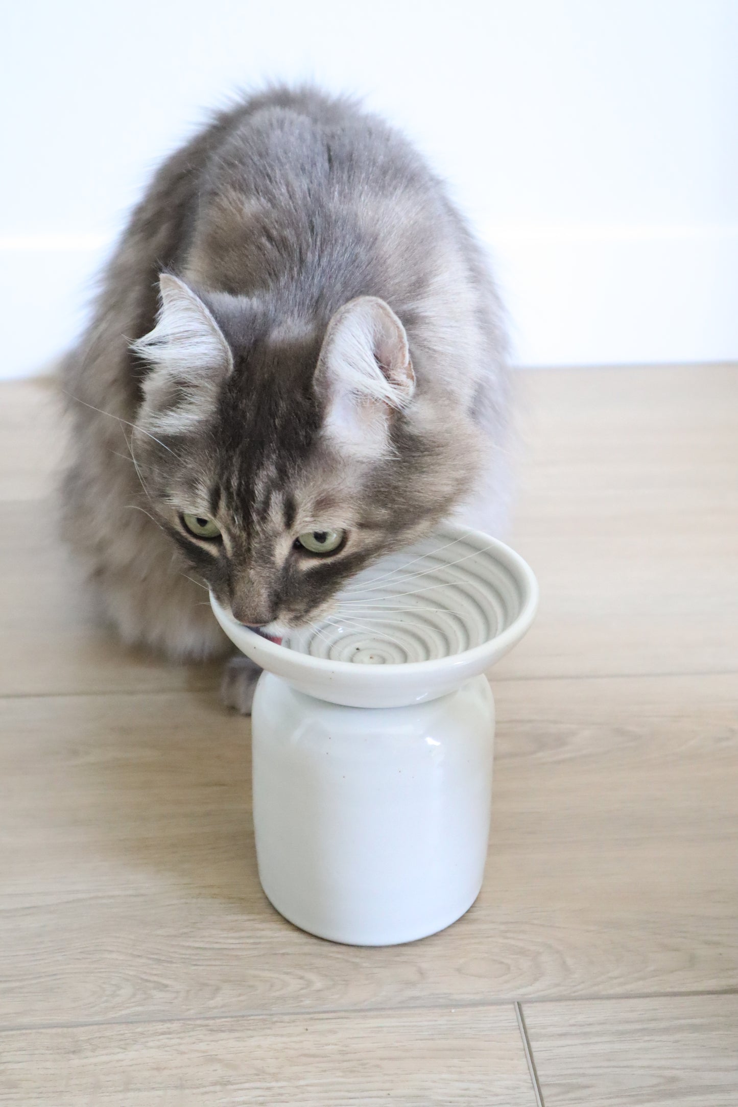 Elevated slow feeder (2 piece)