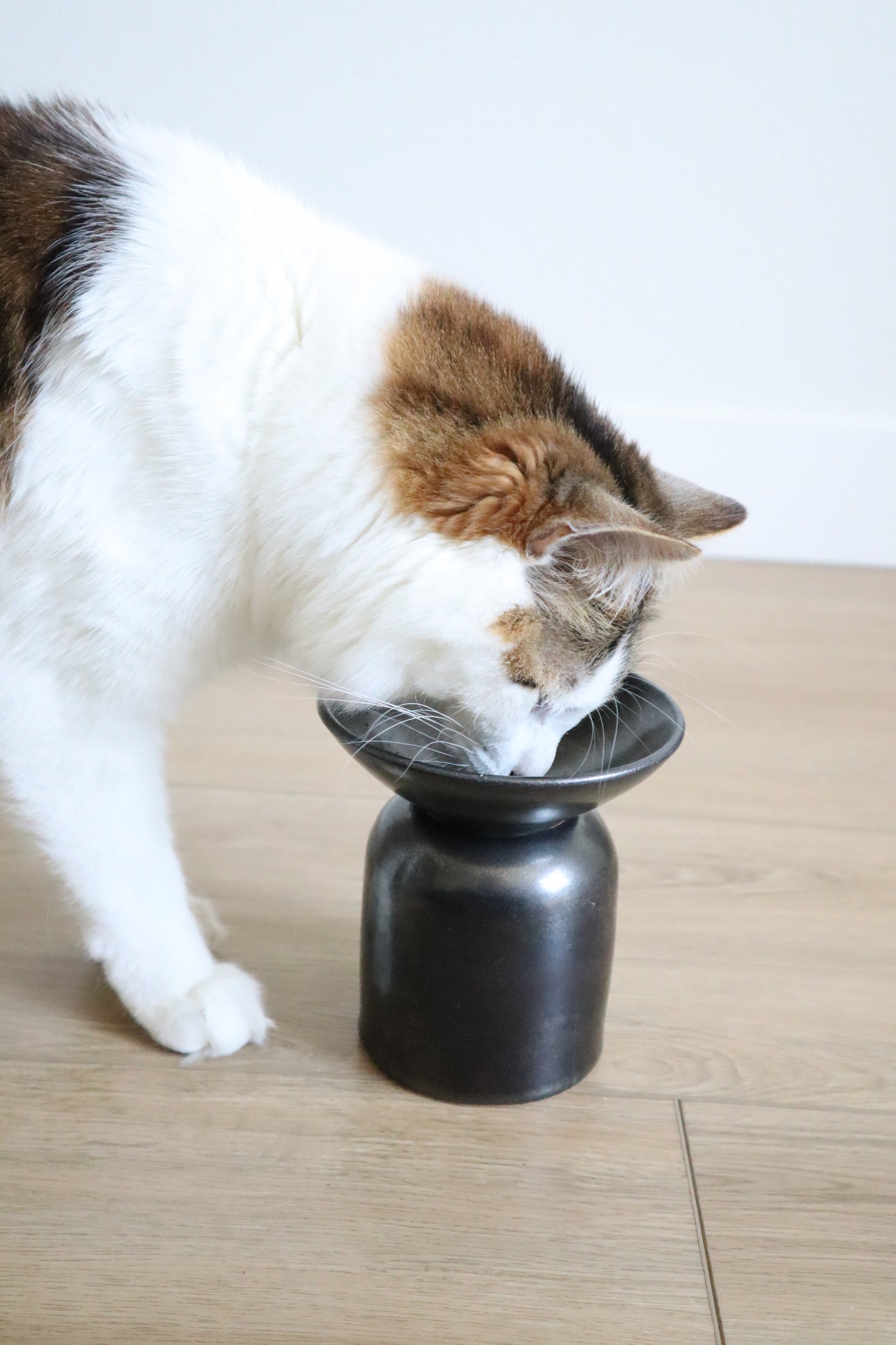 Onyx elevated feeder (2 piece)