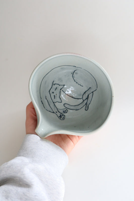 Stretchy the cat in matcha bowl