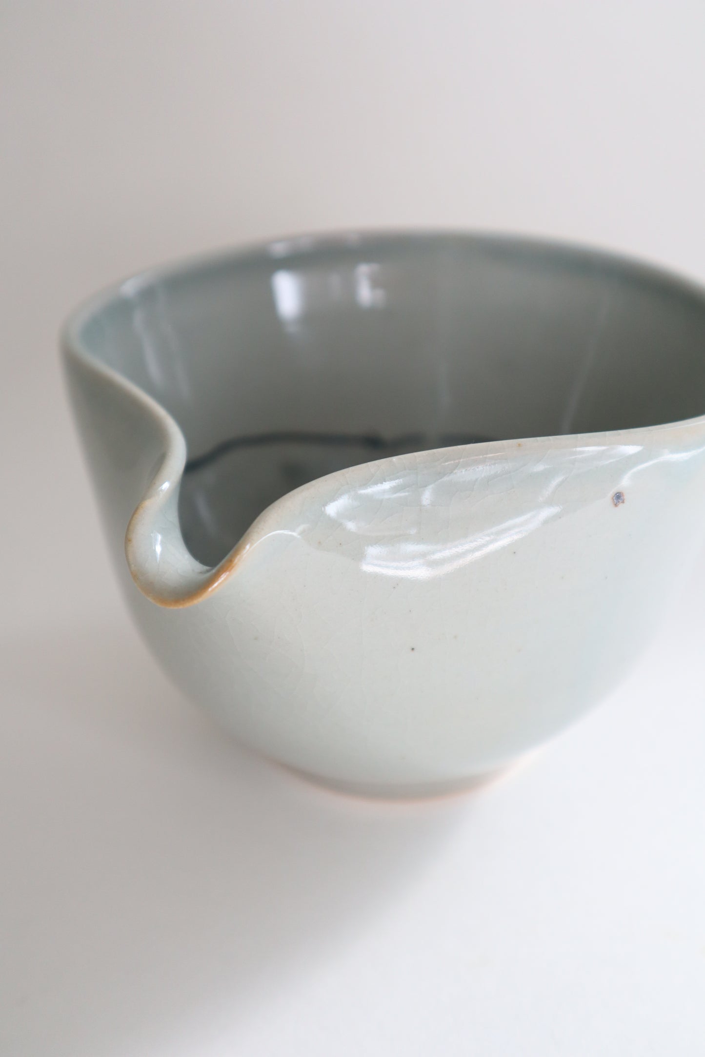 Stretchy the cat in matcha bowl
