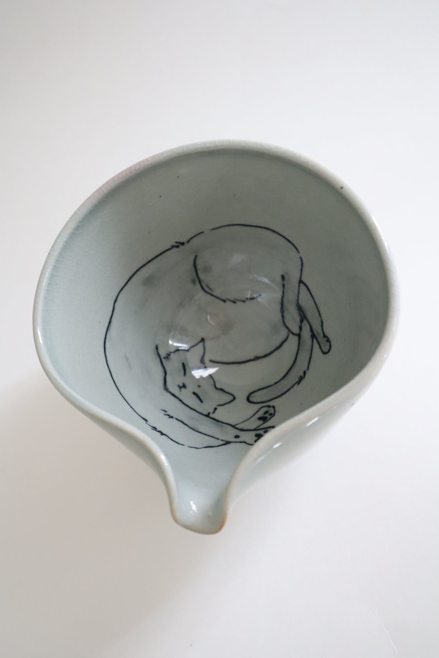 Stretchy the cat in matcha bowl