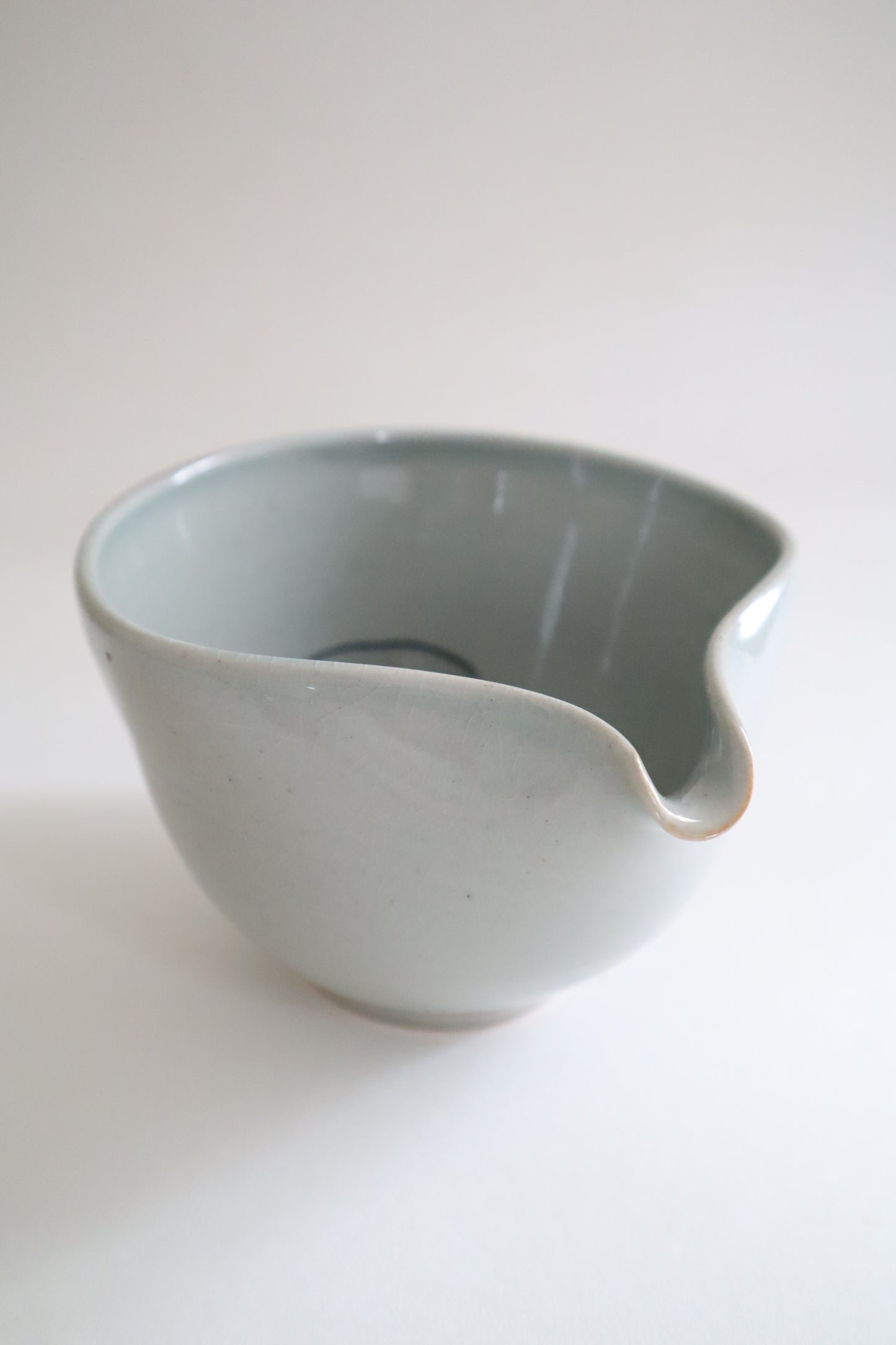 Stretchy the cat in matcha bowl