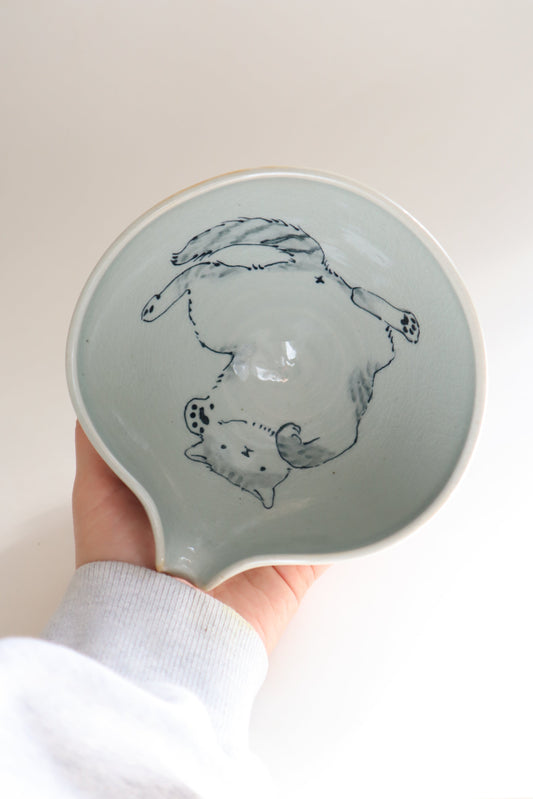 Sweetie the cat in matcha bowl
