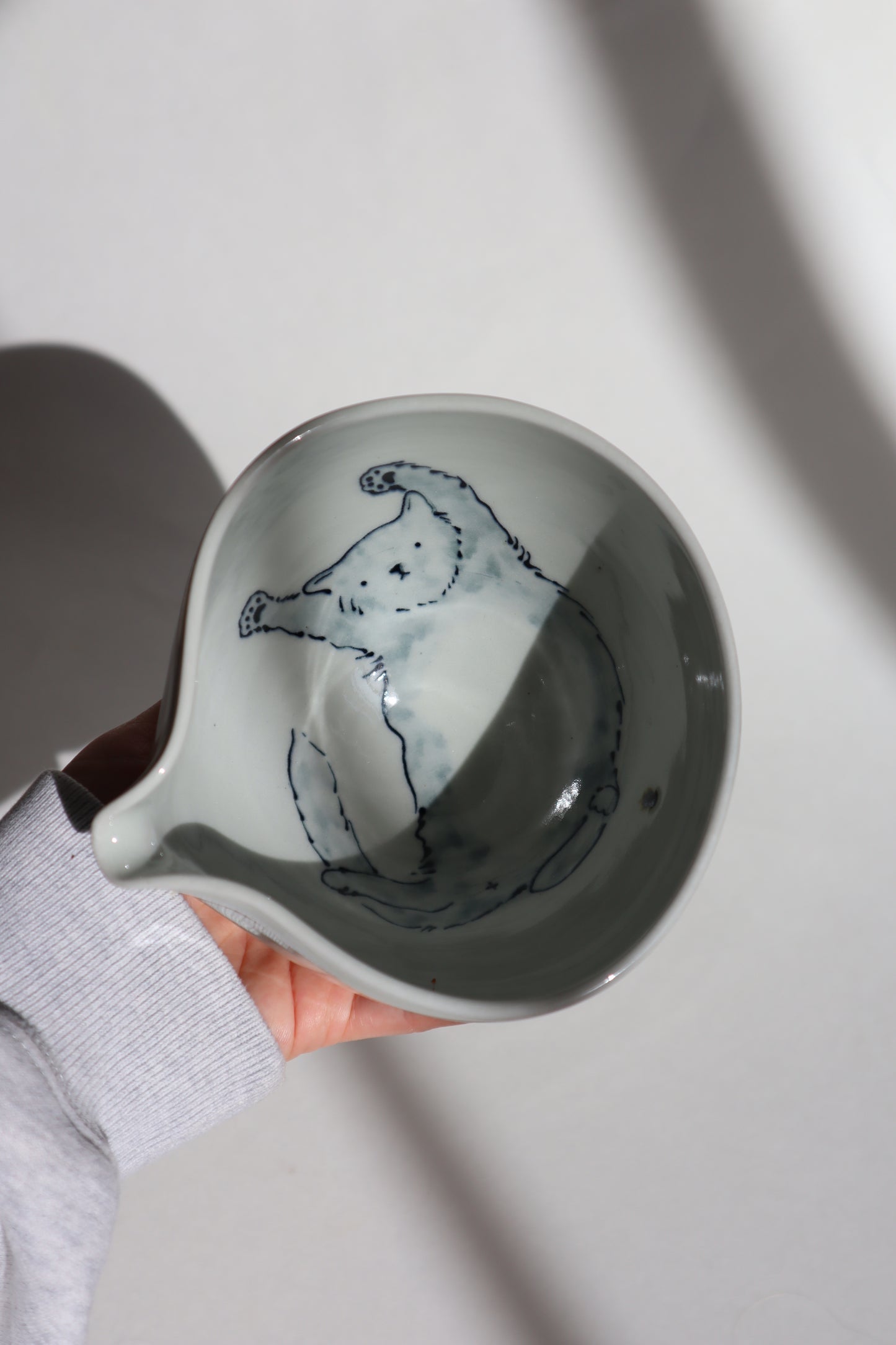Boo the cat in matcha bowl
