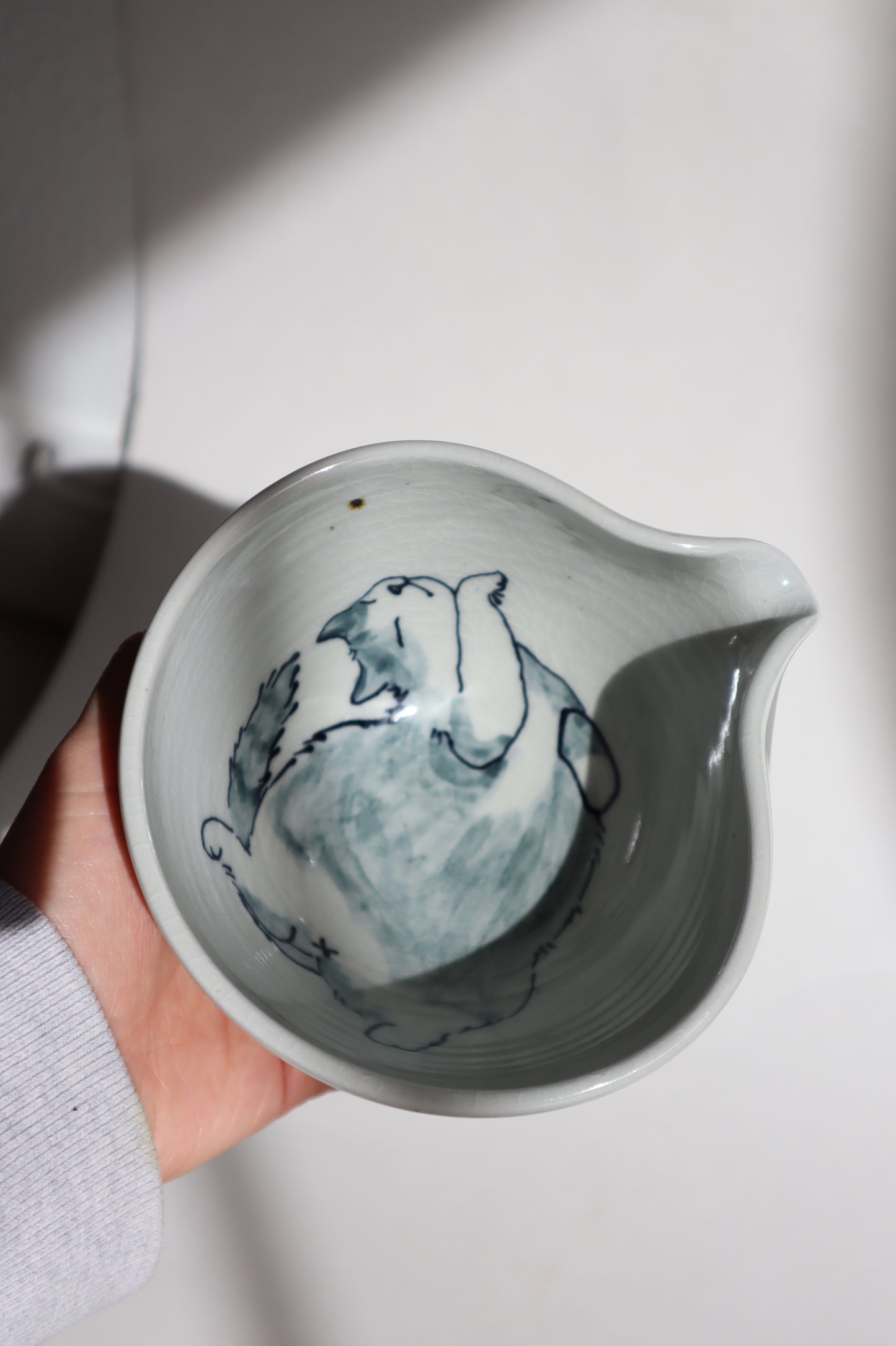 Chonk in matcha bowl