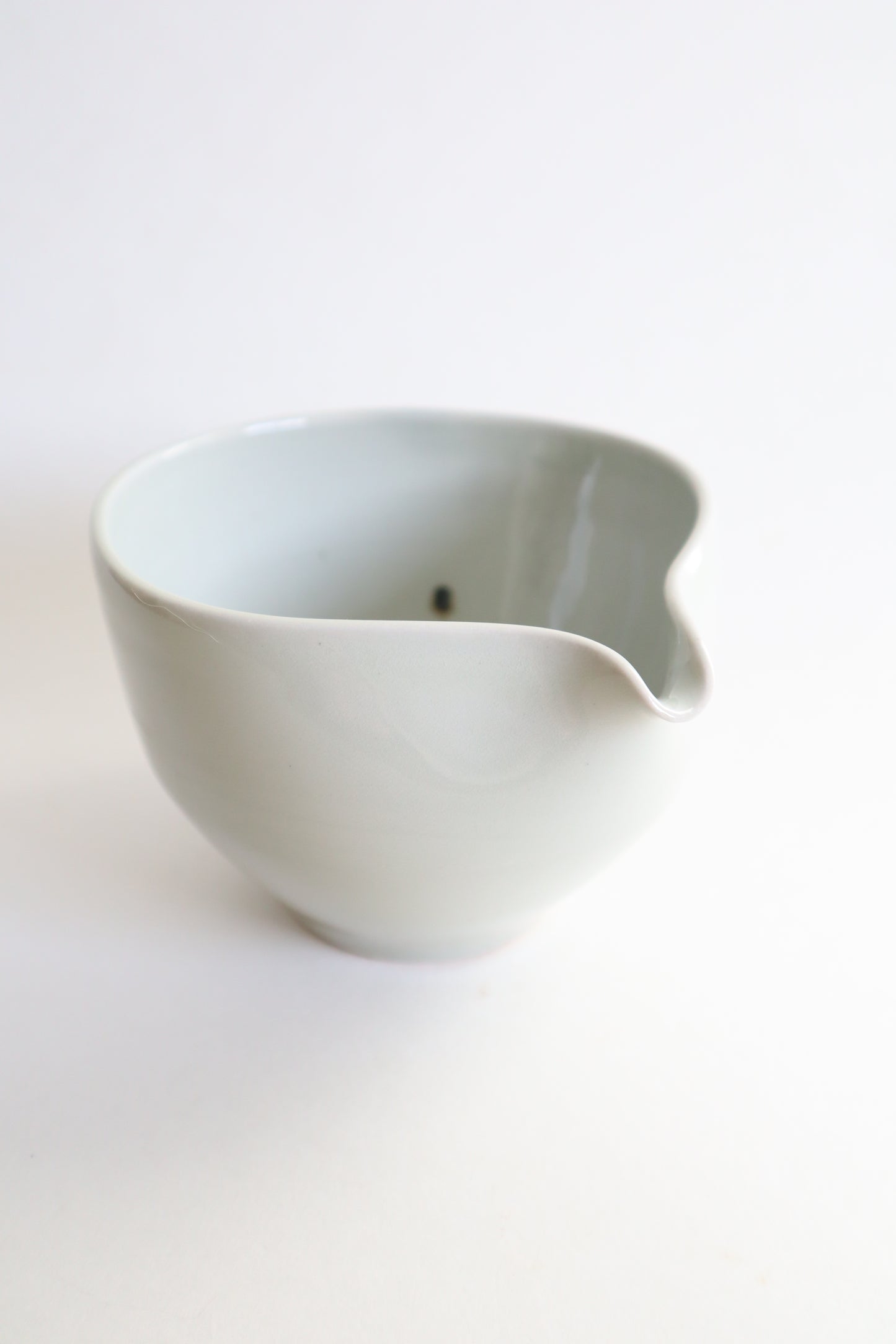Boo the cat in matcha bowl