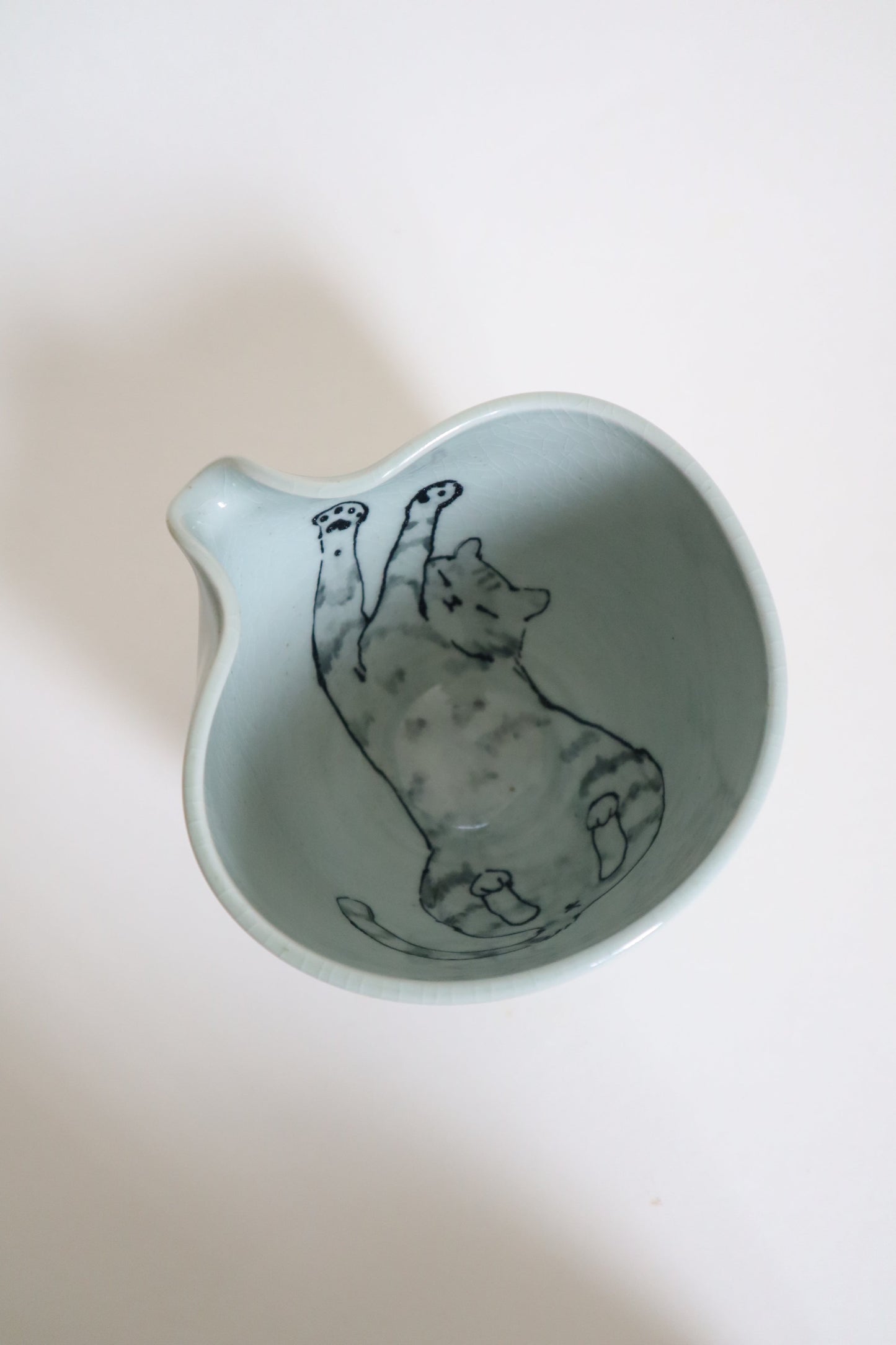 Oliver the cat in matcha bowl
