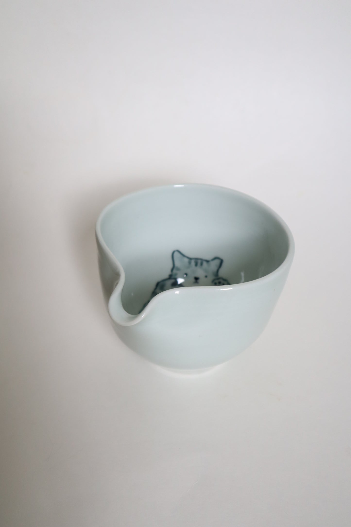 Button the cat in matcha bowl