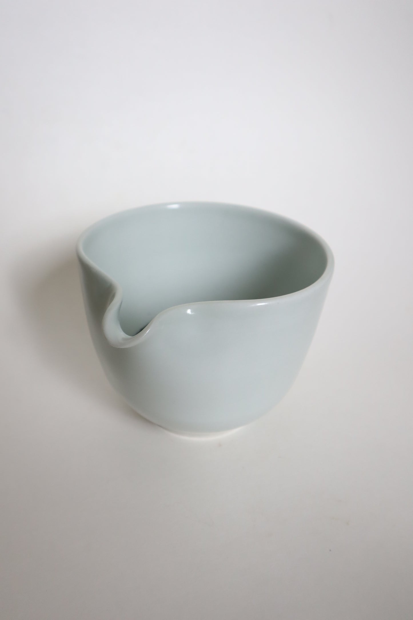 Zigzag the cat in matcha bowl
