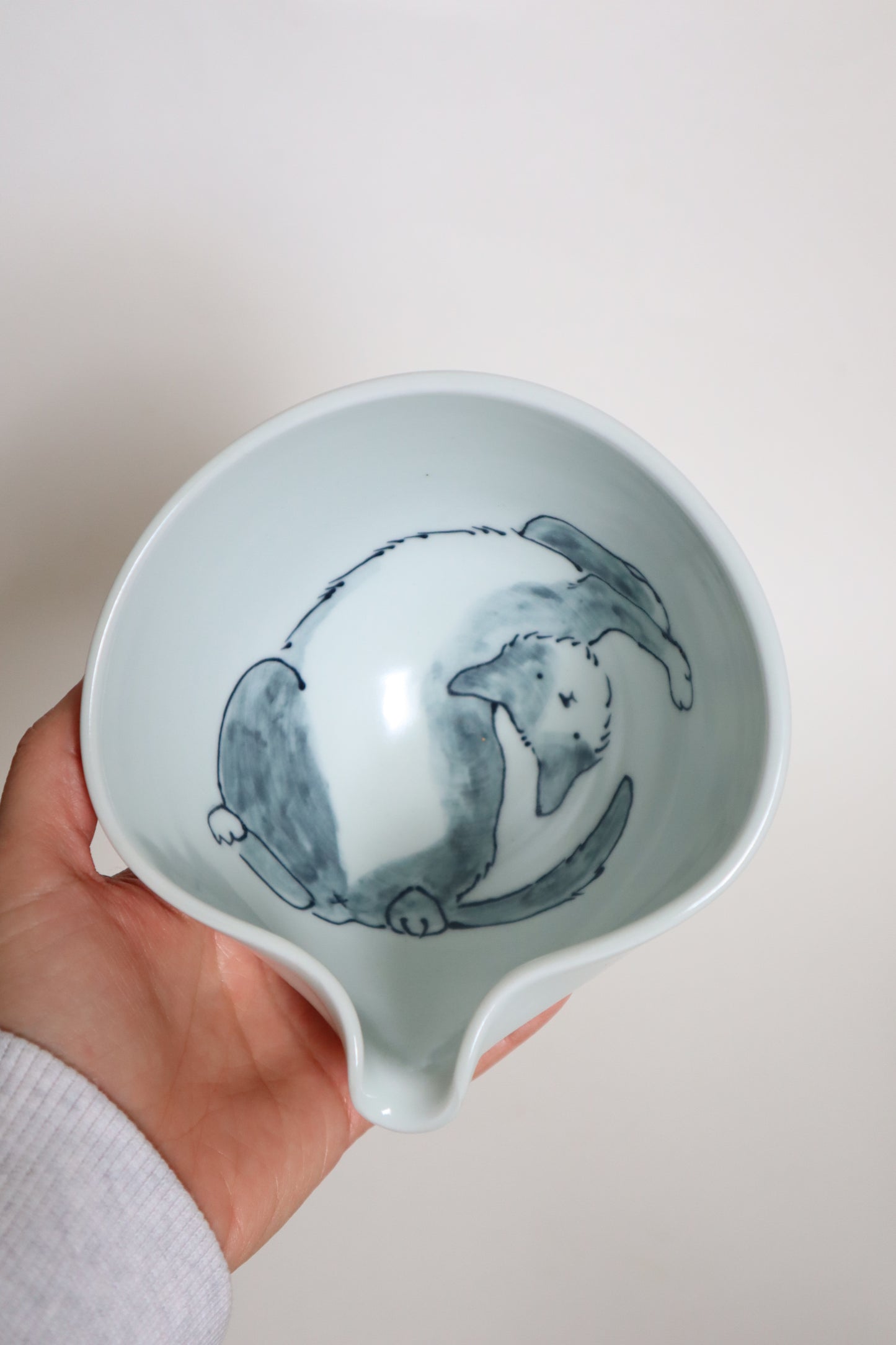 Noodle the cat in matcha bowl