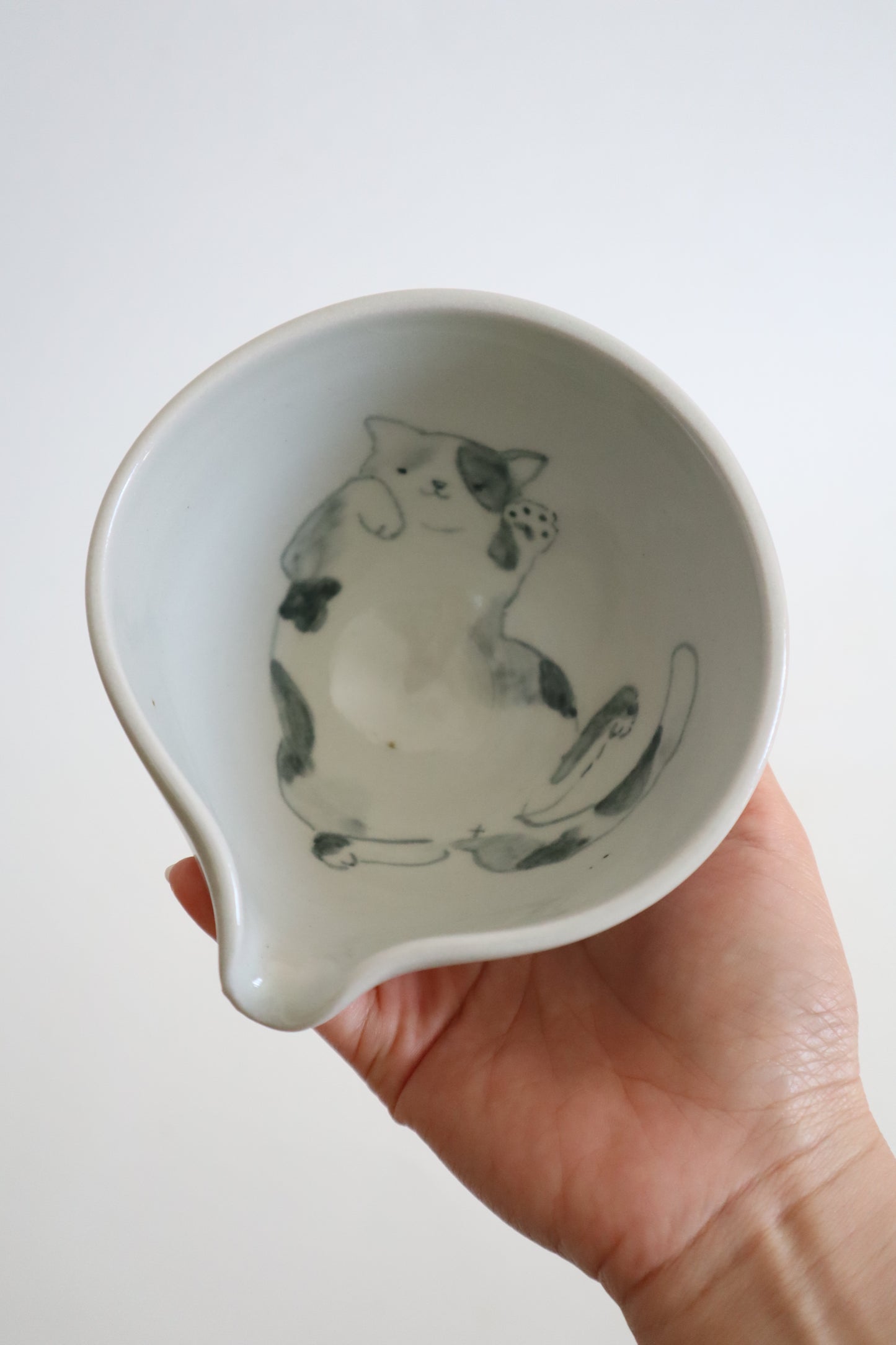 Bambi the cat in matcha bowl
