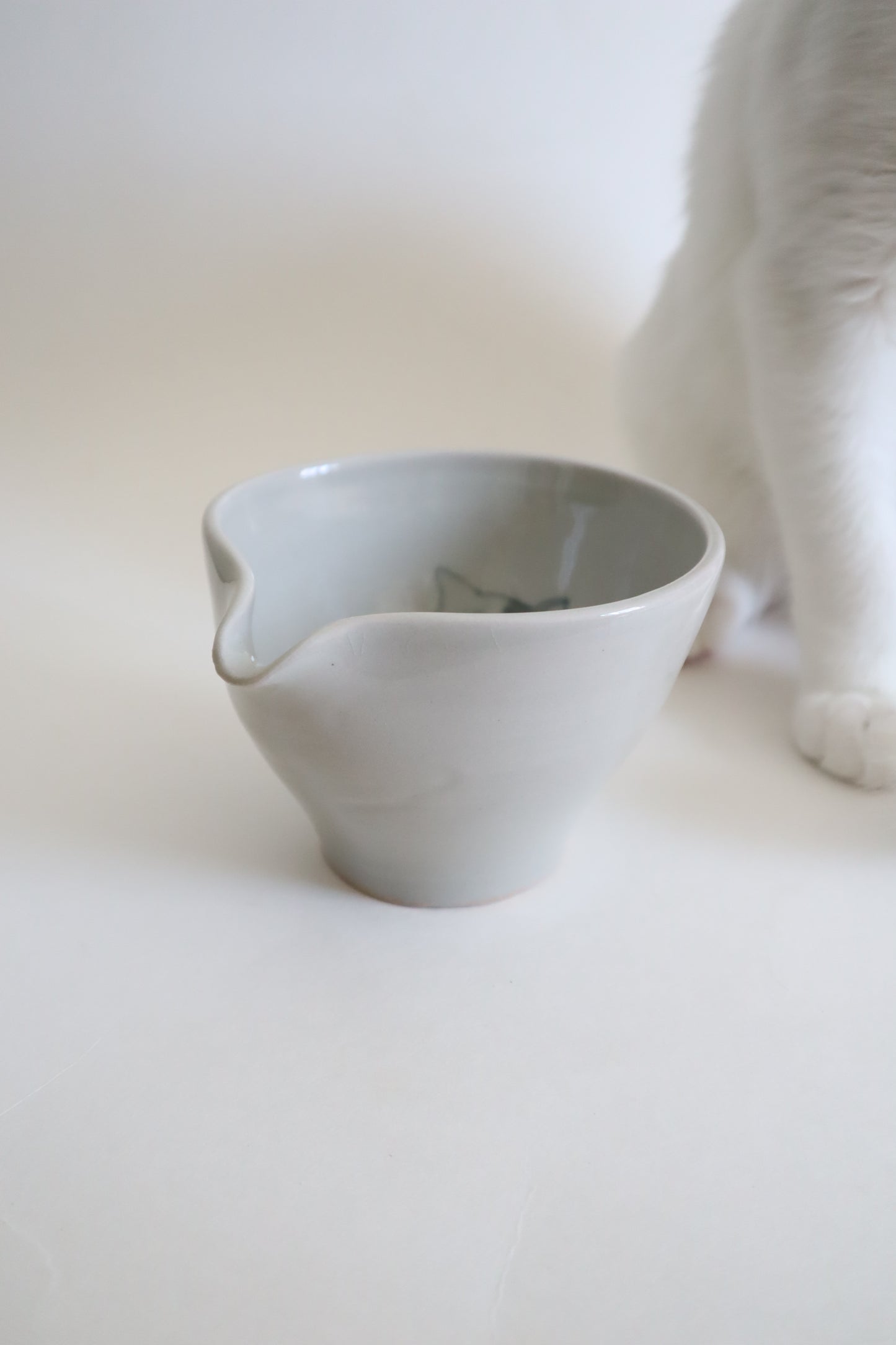 Bambi the cat in matcha bowl