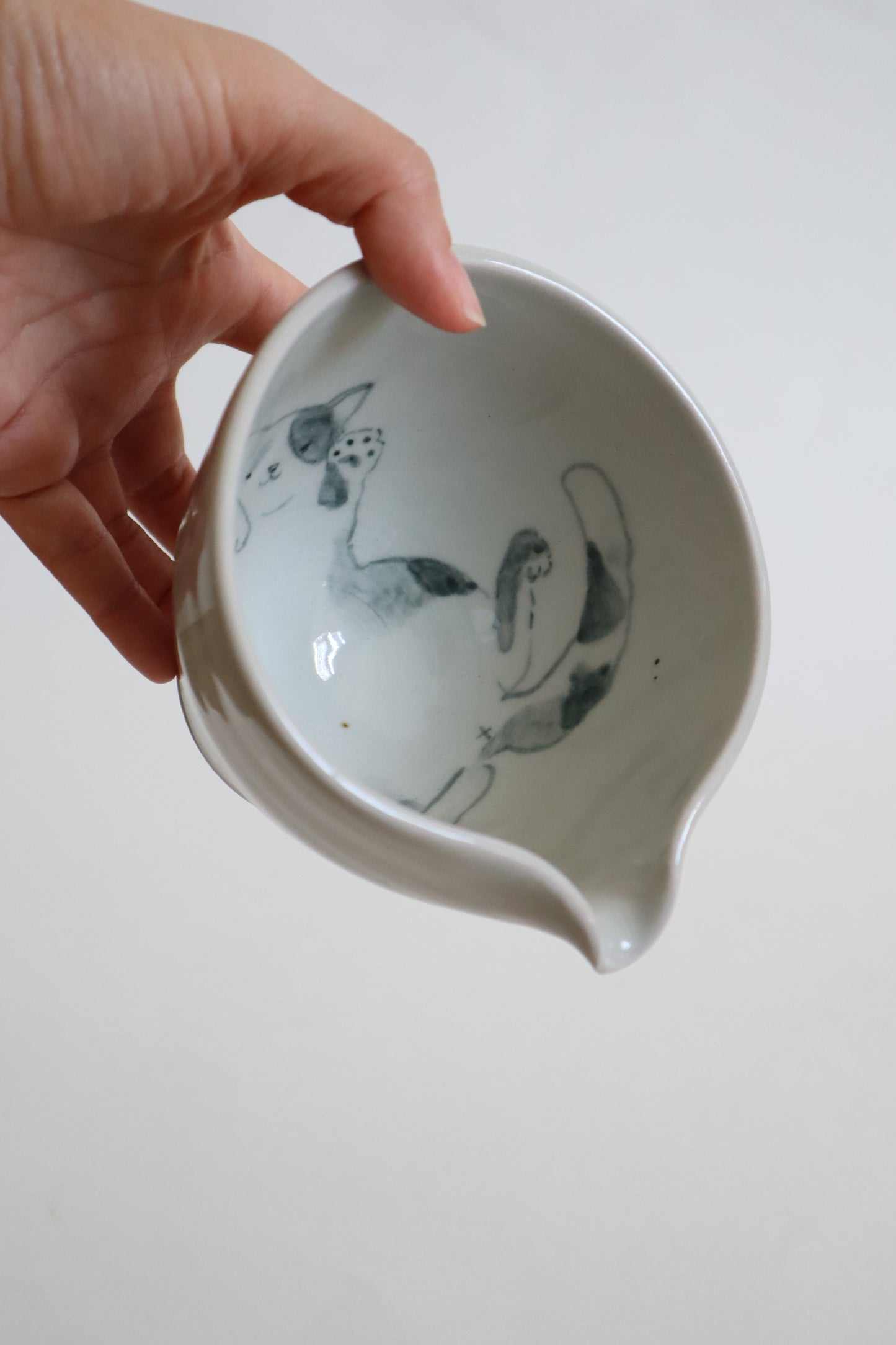 Bambi the cat in matcha bowl
