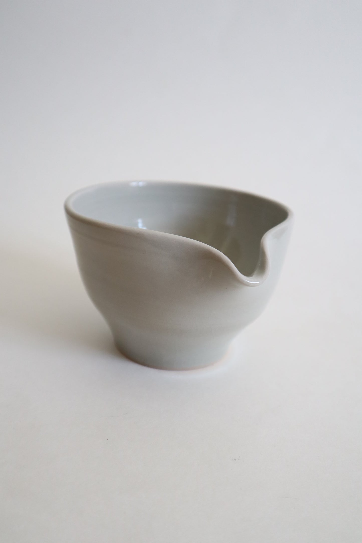 Tom the cat in matcha bowl