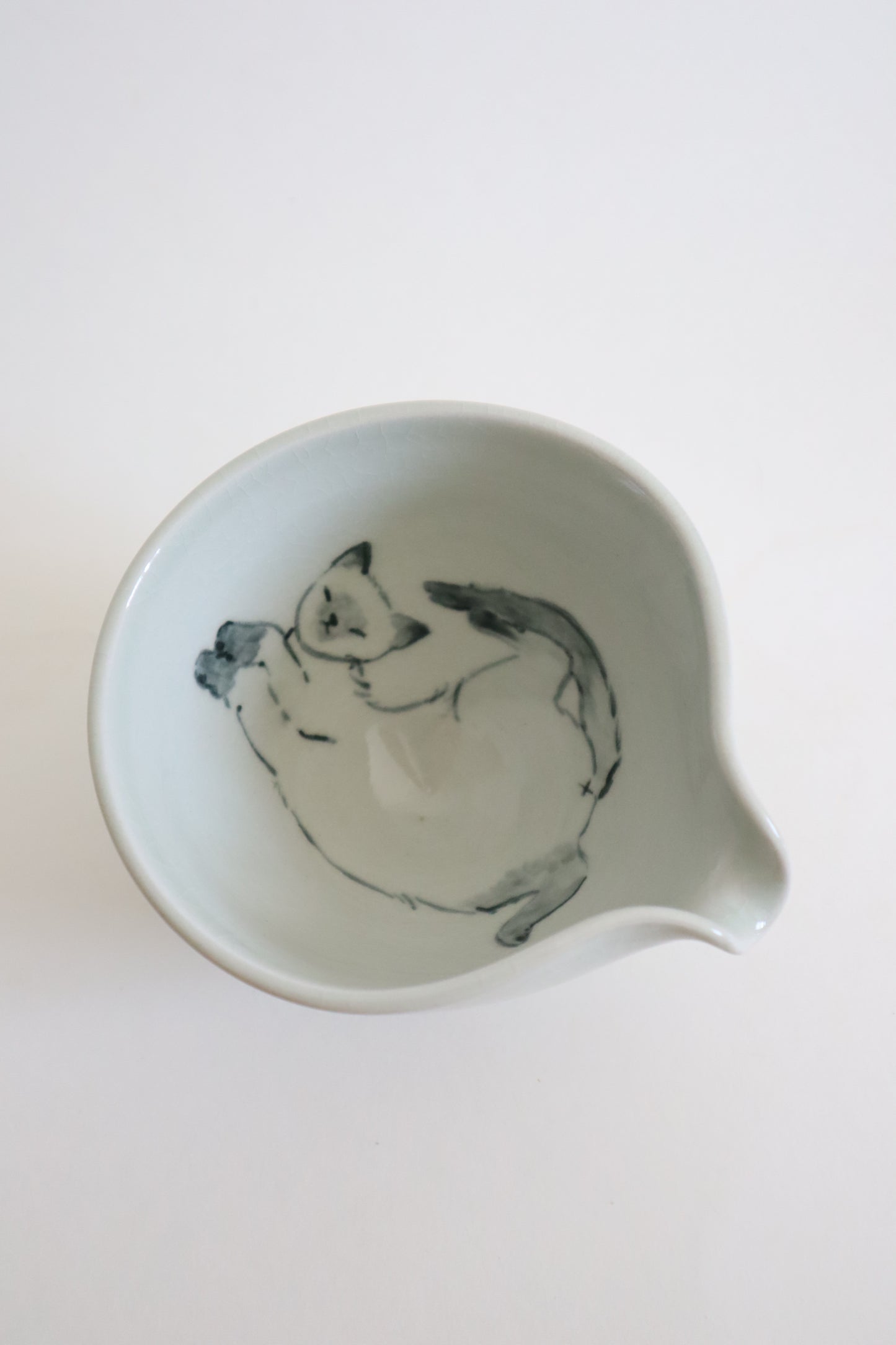 Pearl the cat in matcha bowl